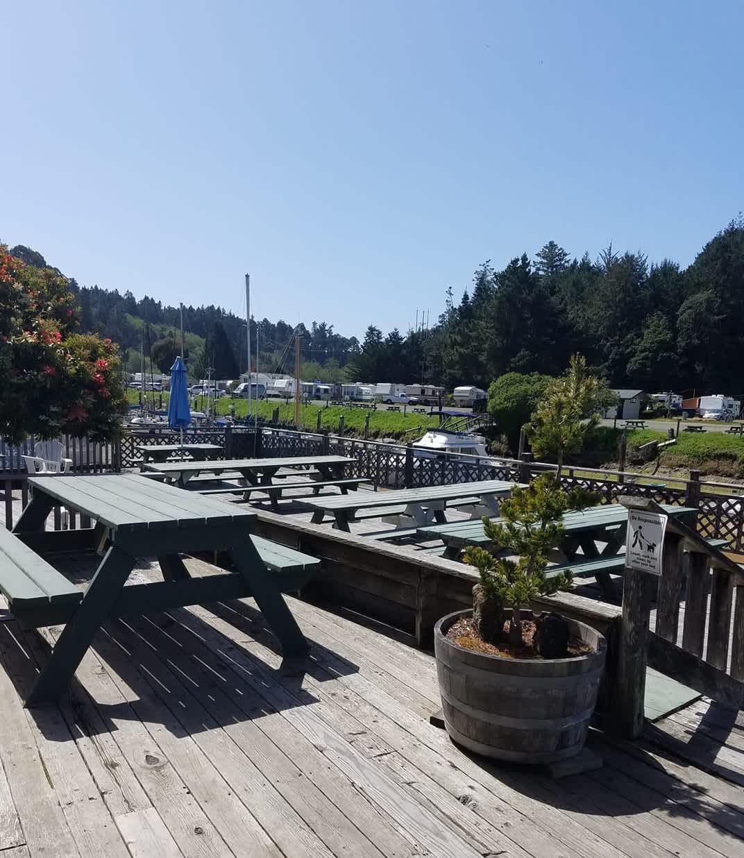 Dolphin Isle Marina and RV Park