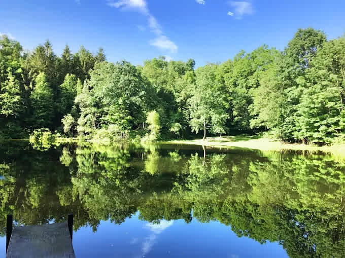 Cranberry Run Campground
