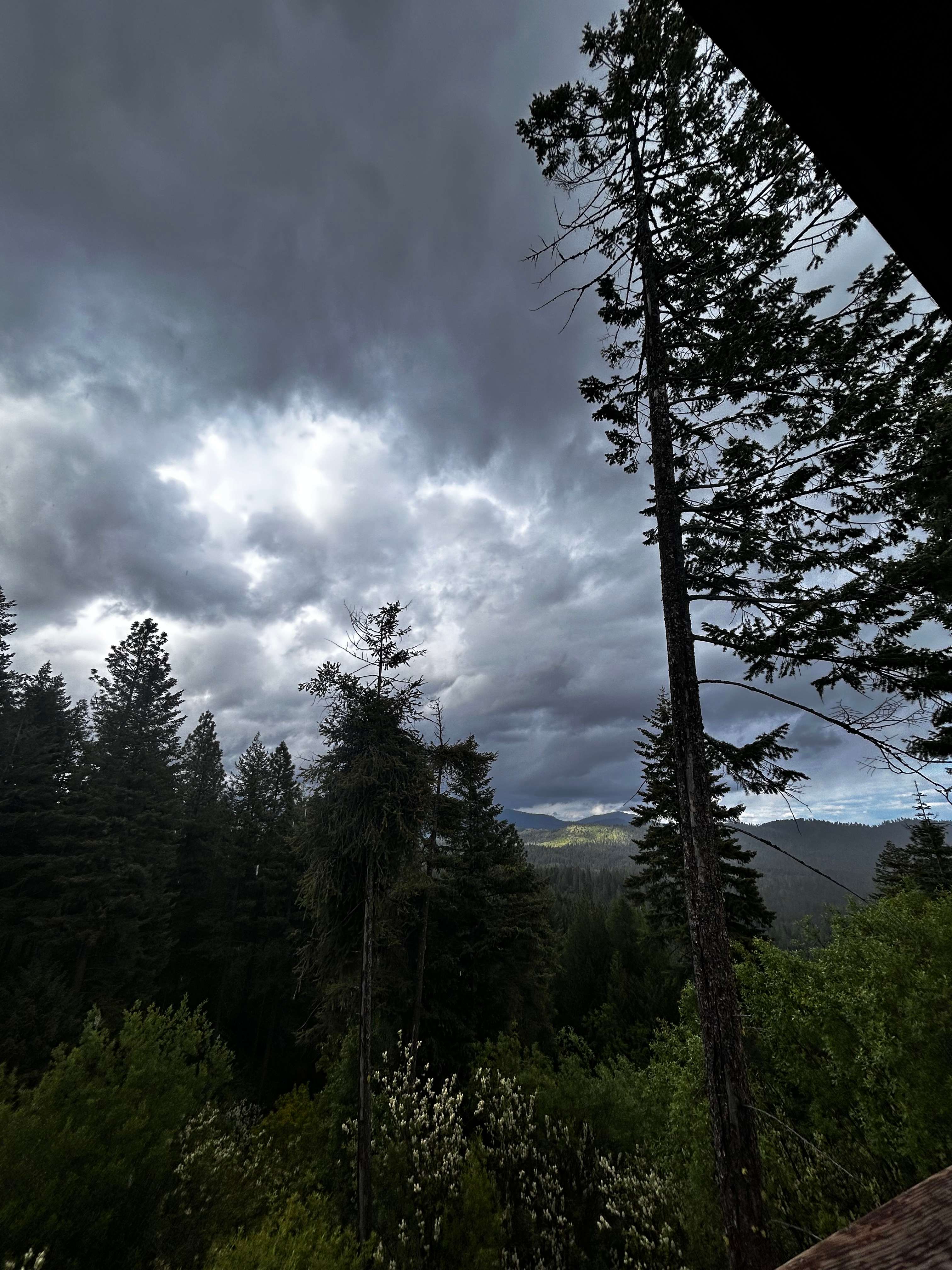 Zaltana Retreat