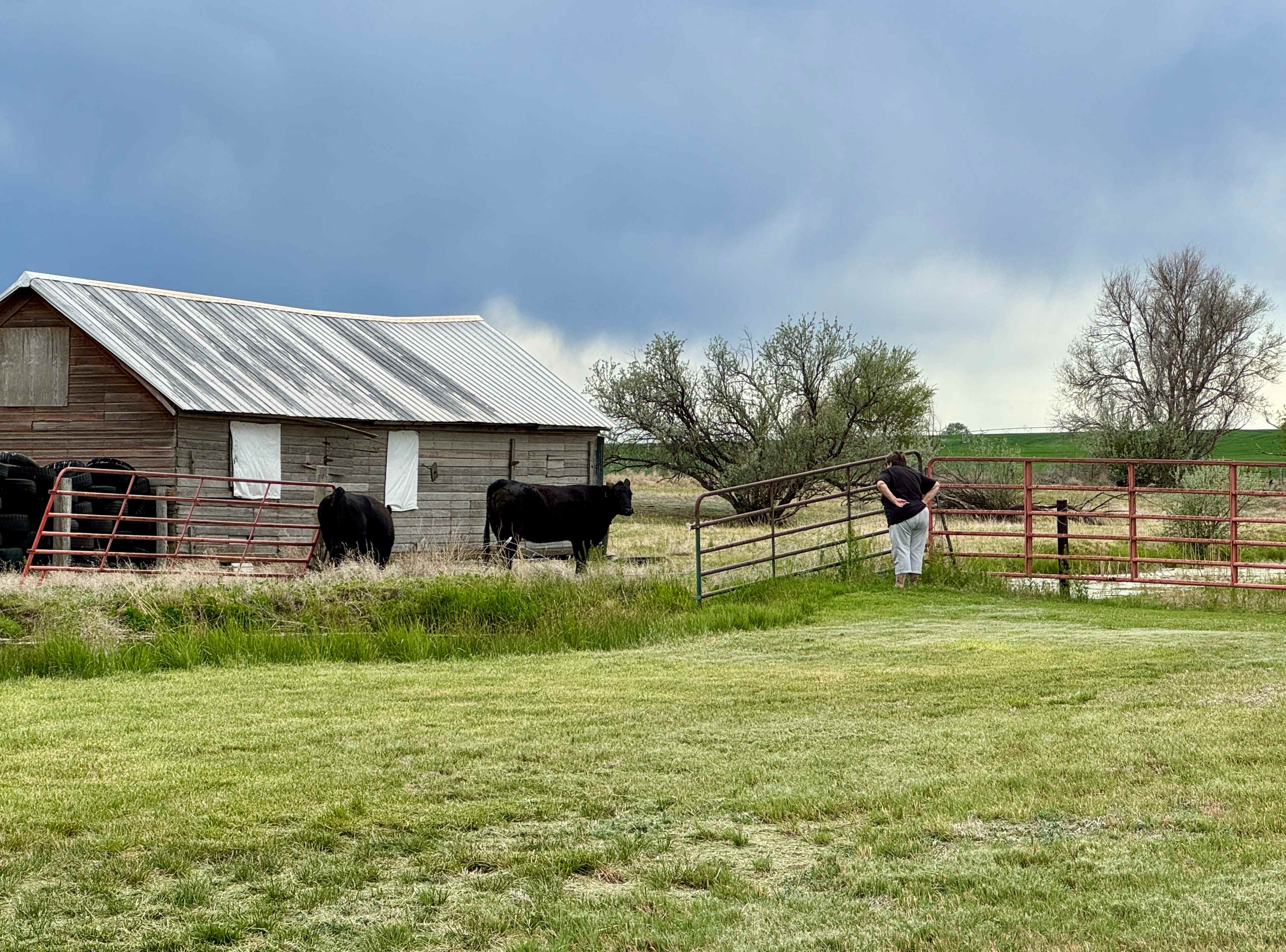 wentz family farm