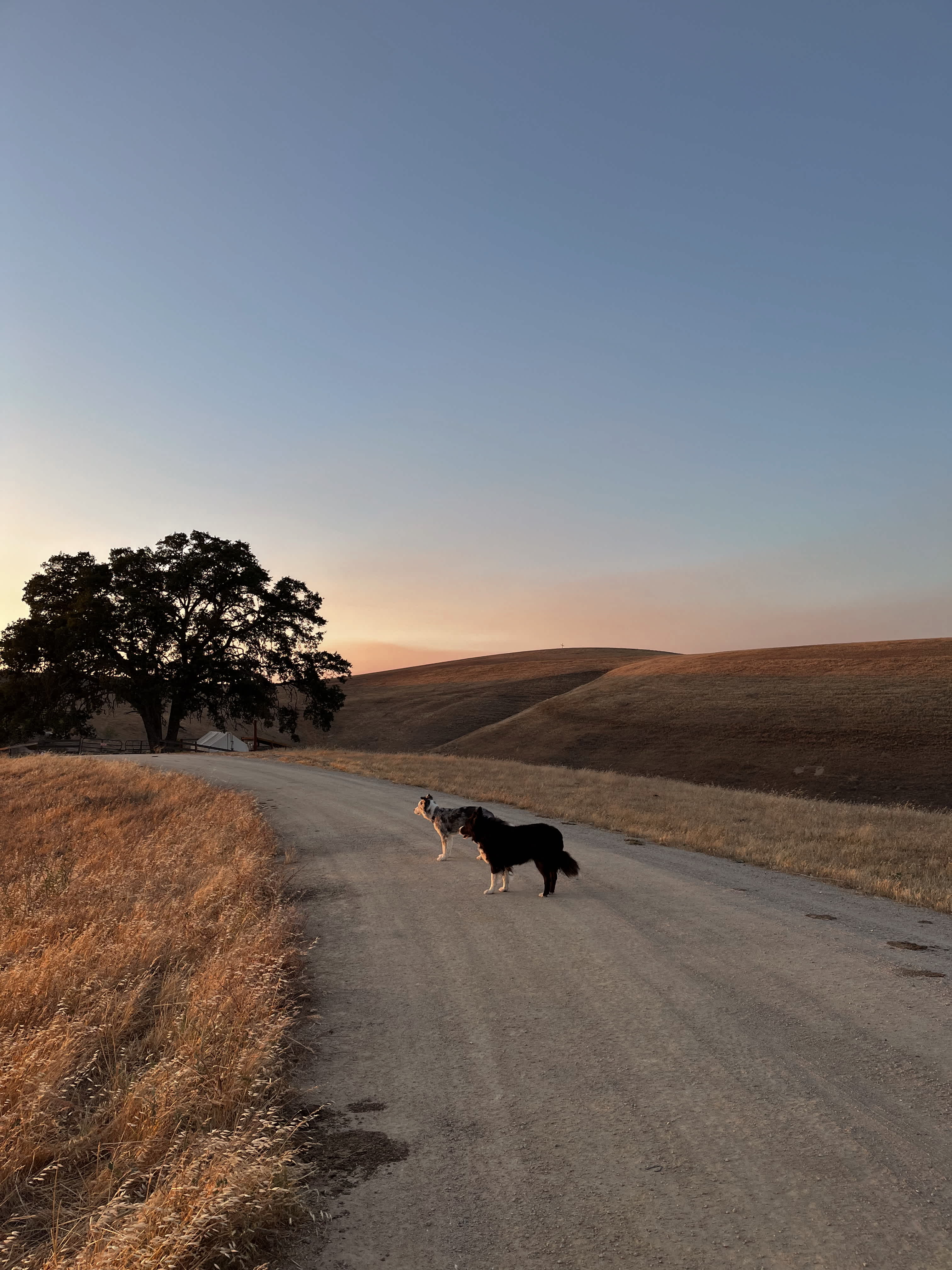 Enney's Ranch
