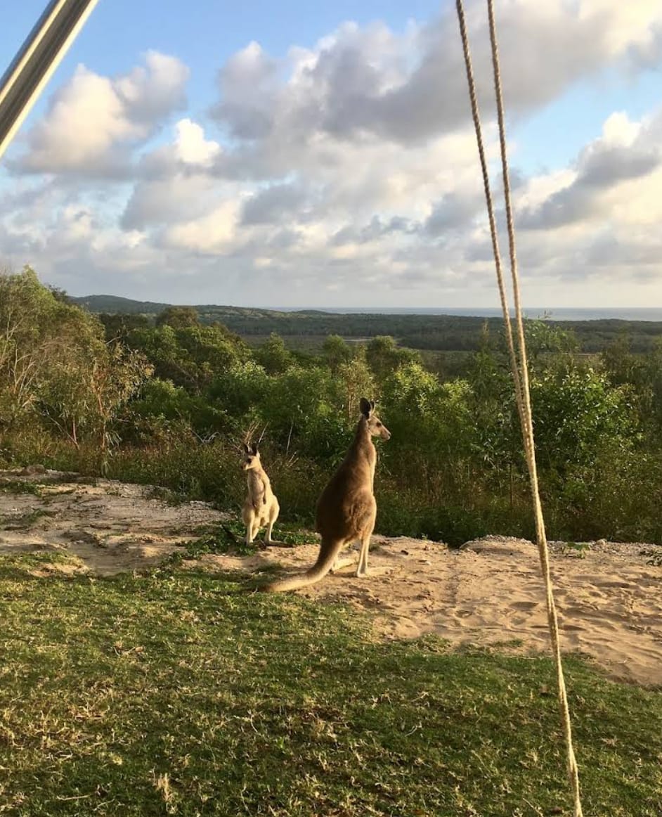 Horizons Kangaroo Sanctuary & Camp