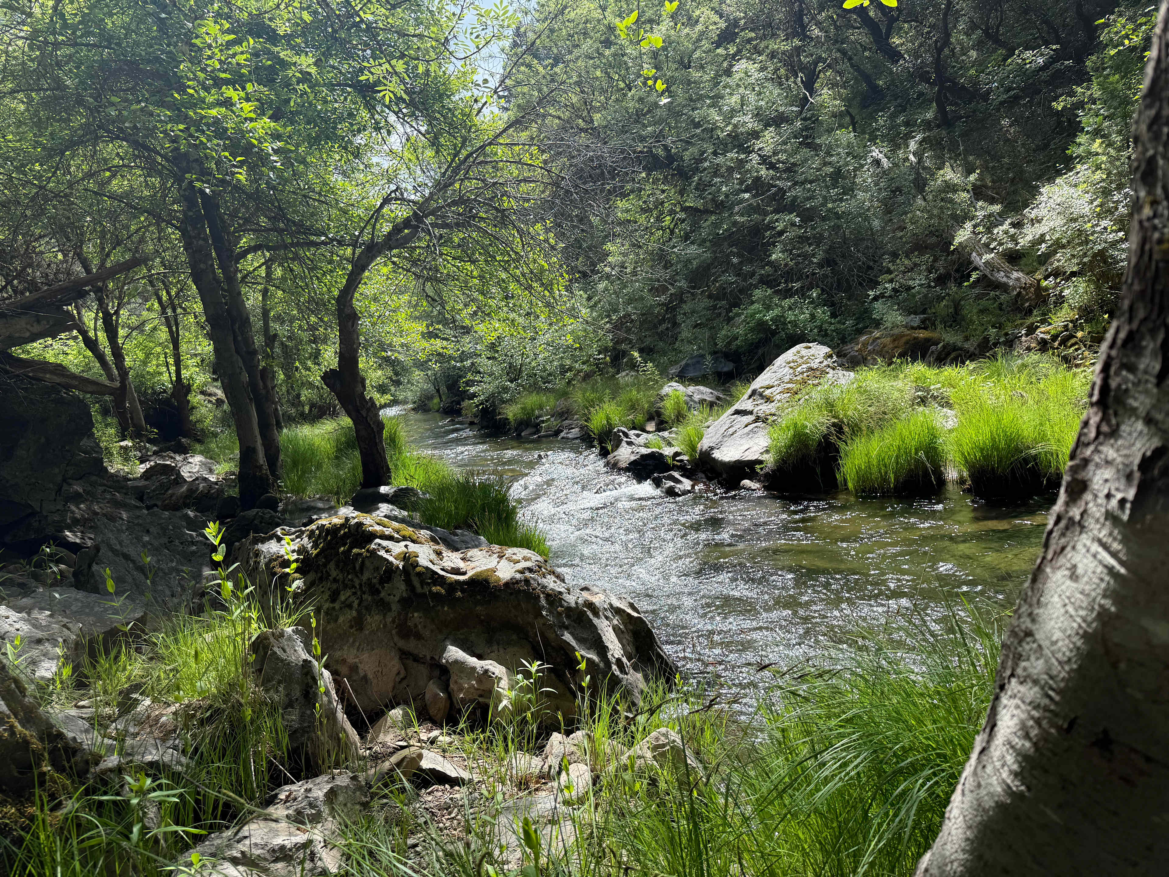 Strange Ranch - River and Gold