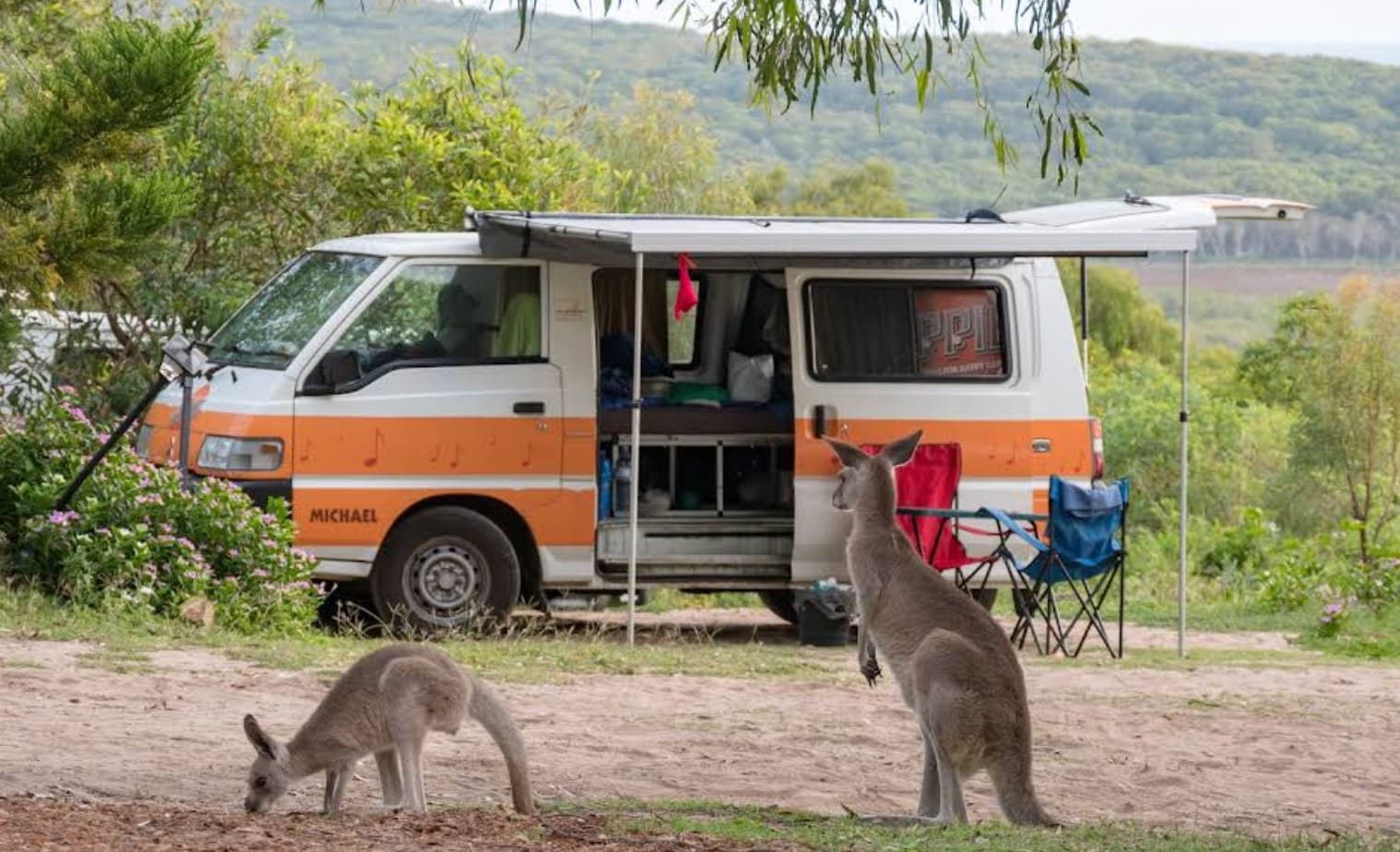 Horizons Kangaroo Sanctuary & Camp