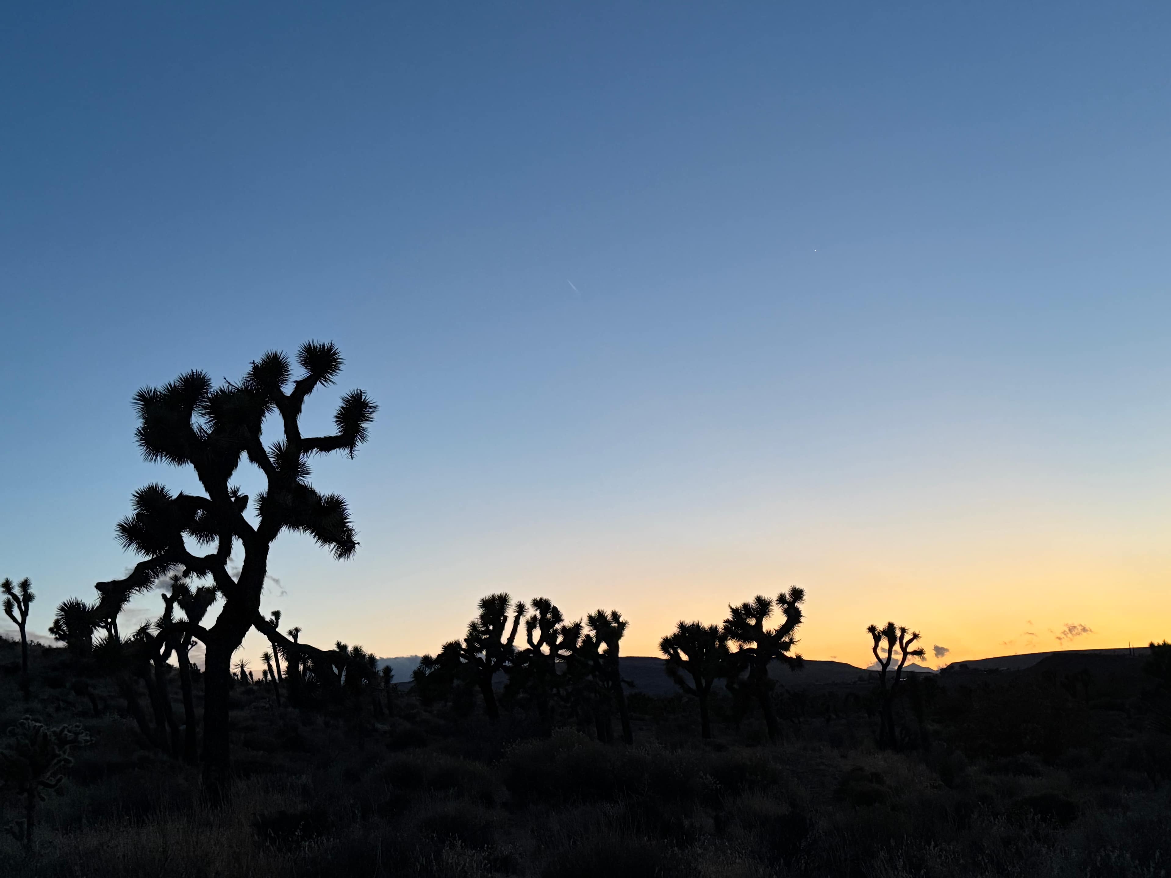 Views! 15 min to Joshua Park