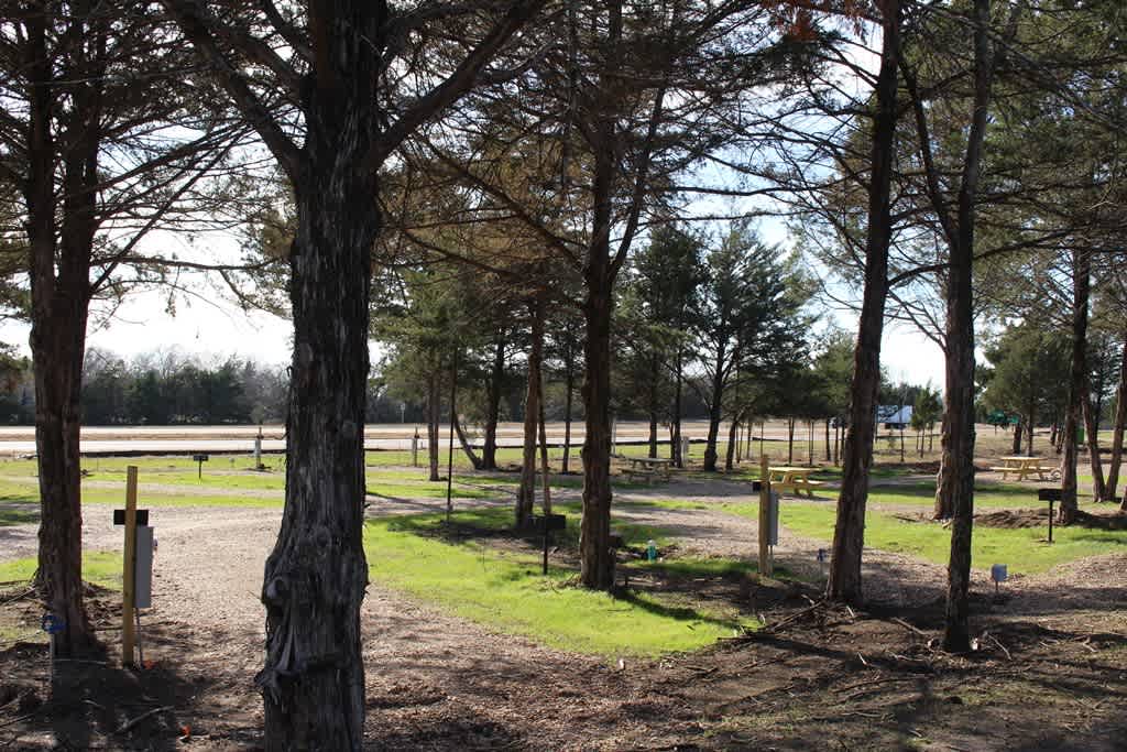 Eighty Two RV Park