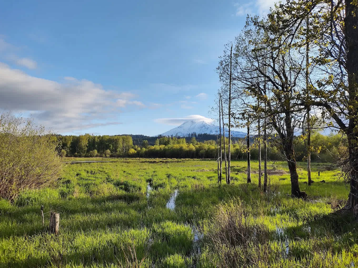 Elk Meadows RV Park