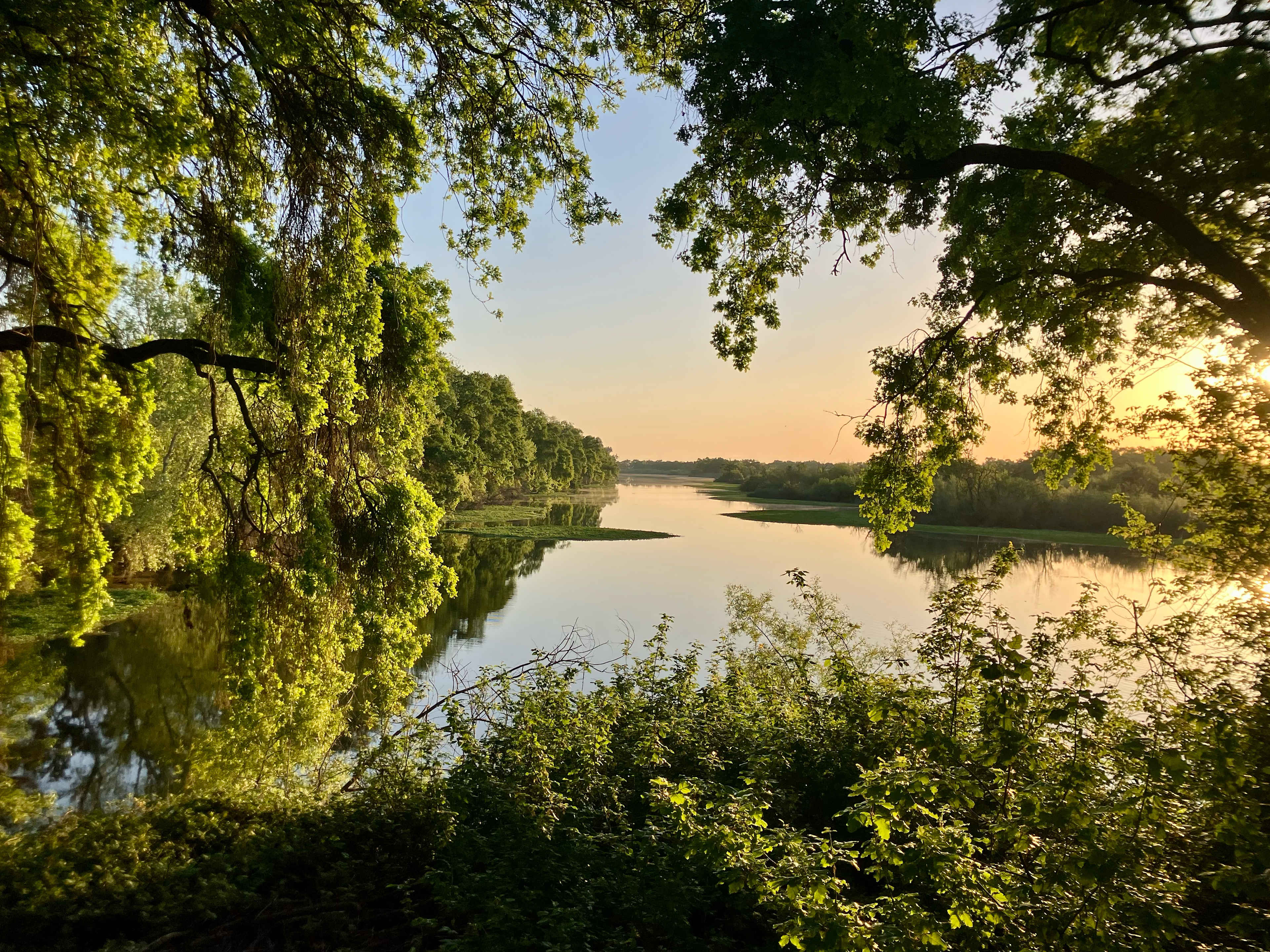 Delta Meadows River Camp