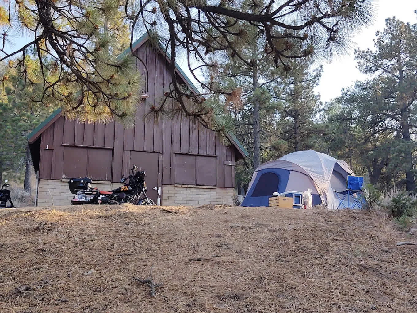 Tehachapi Mountain Park