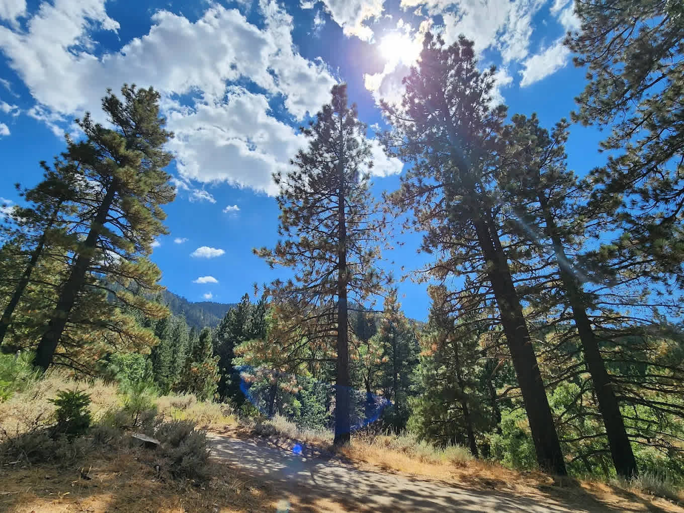 Tehachapi Mountain Park