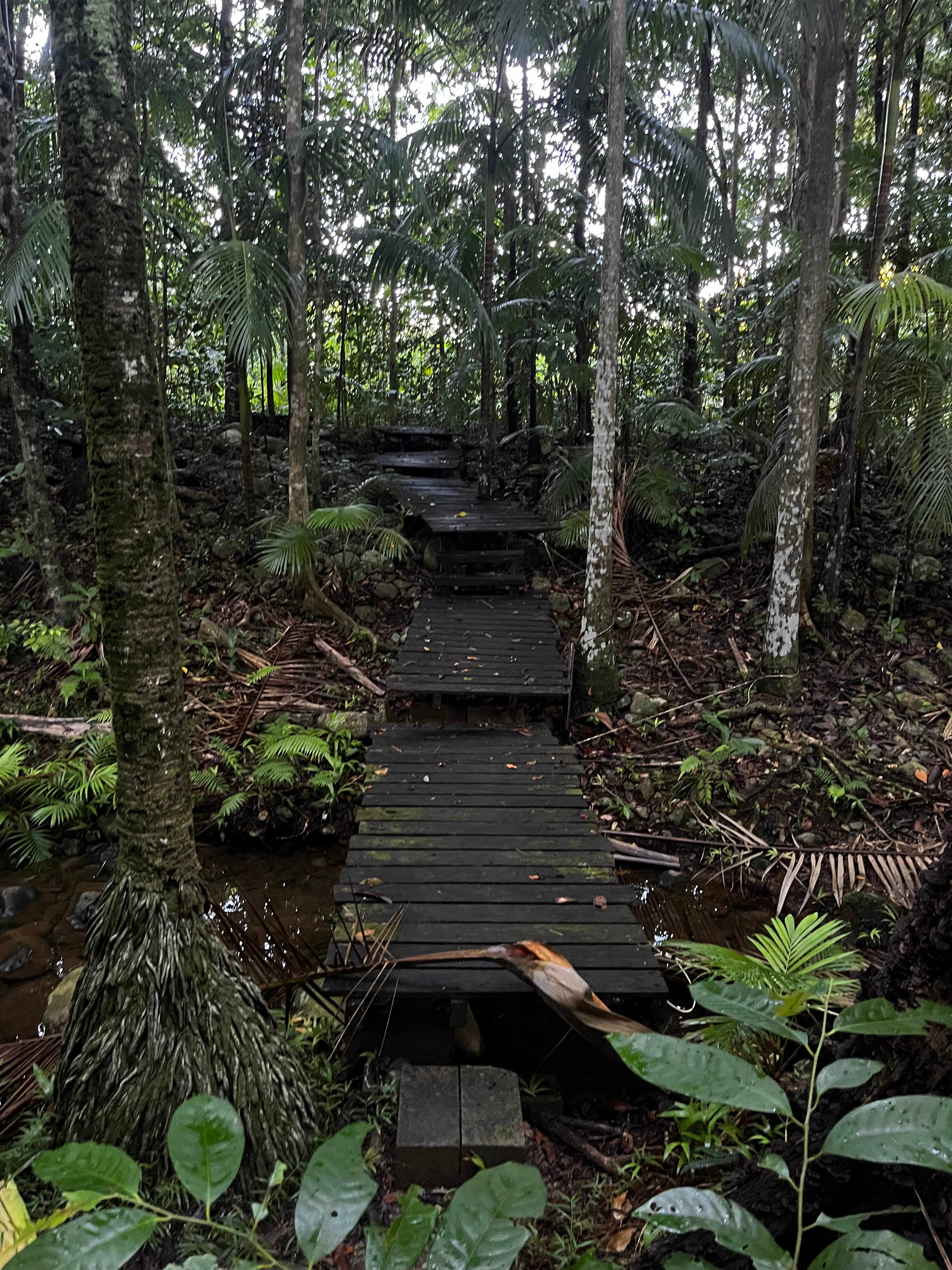 Tiki Hut Creek Camp