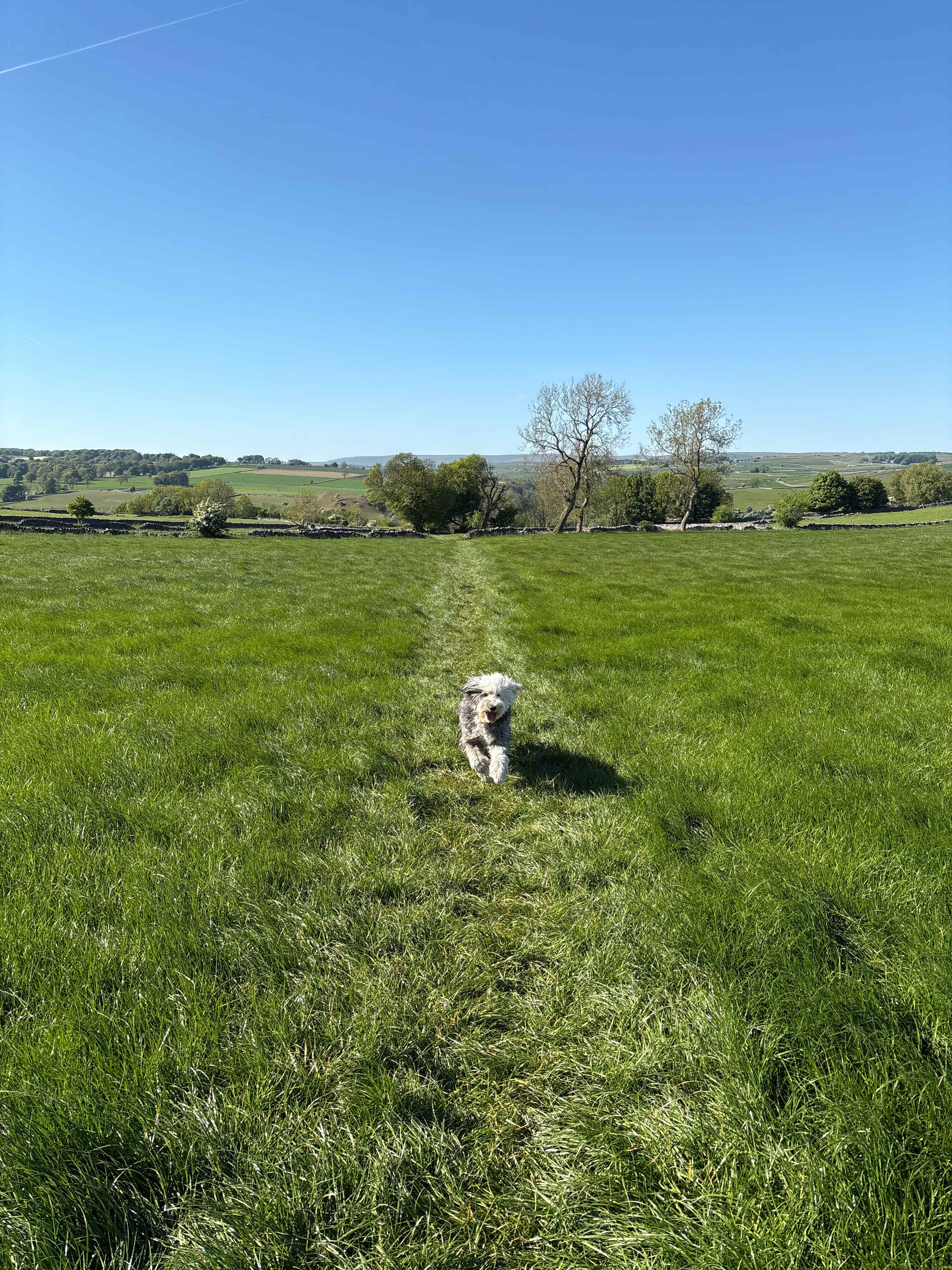 Great footpath’s near by