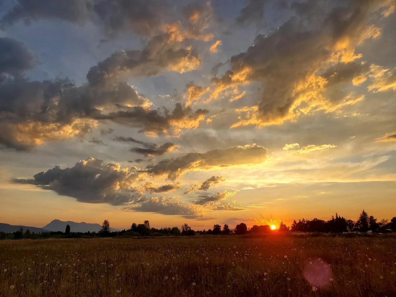 GilGal Oasis RV Park