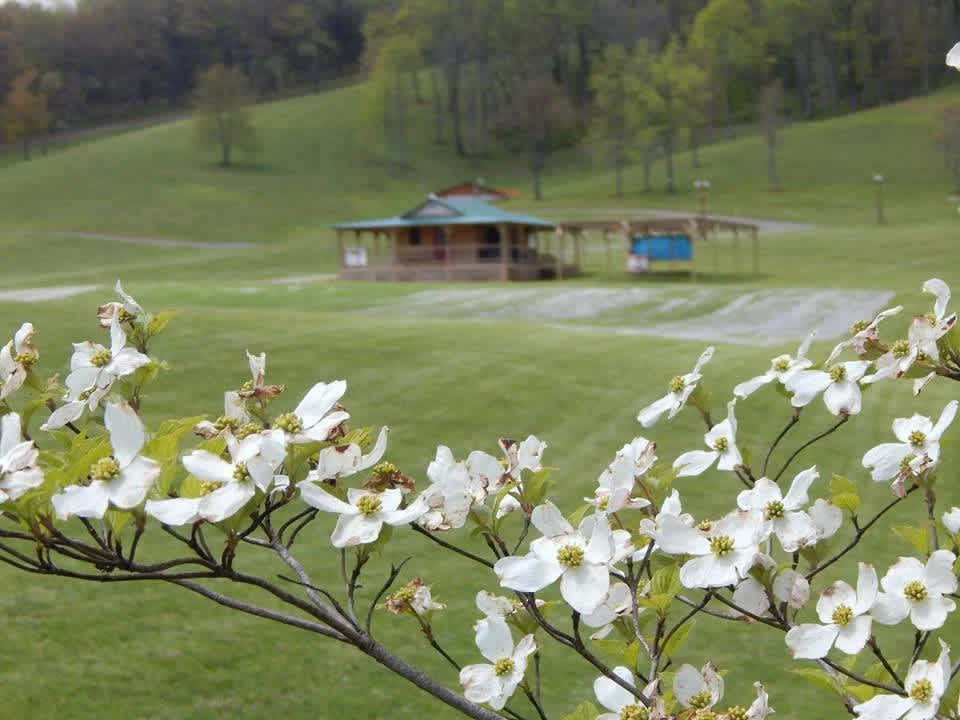 Floyd Family Campground