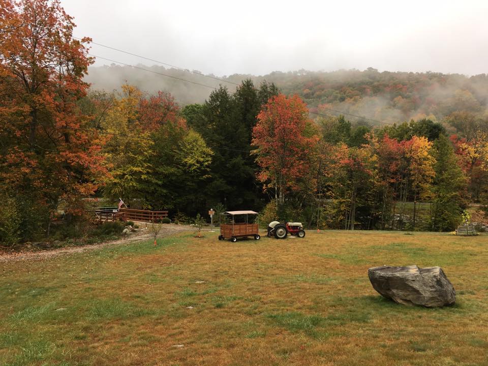 Little Spring Brook RV Park
