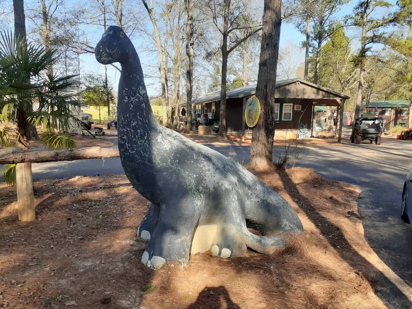Dinosaur Adventure Land