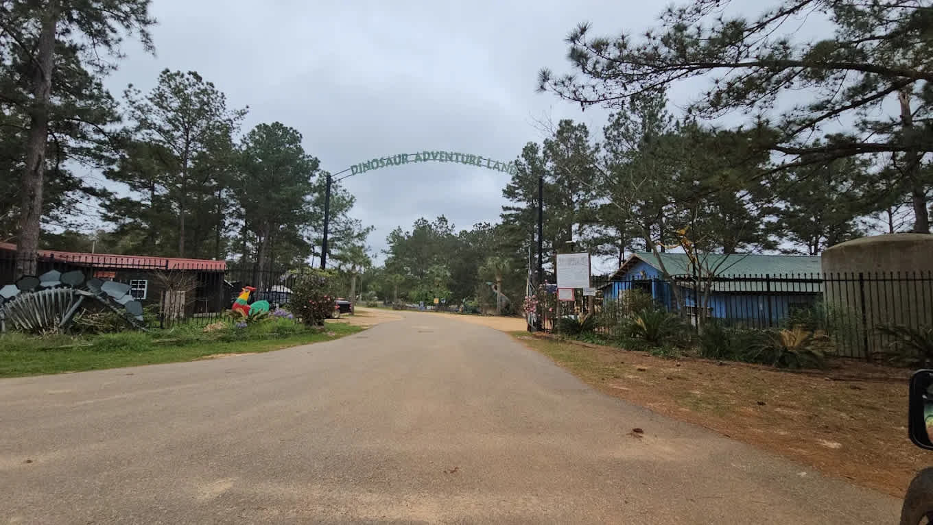 Dinosaur Adventure Land