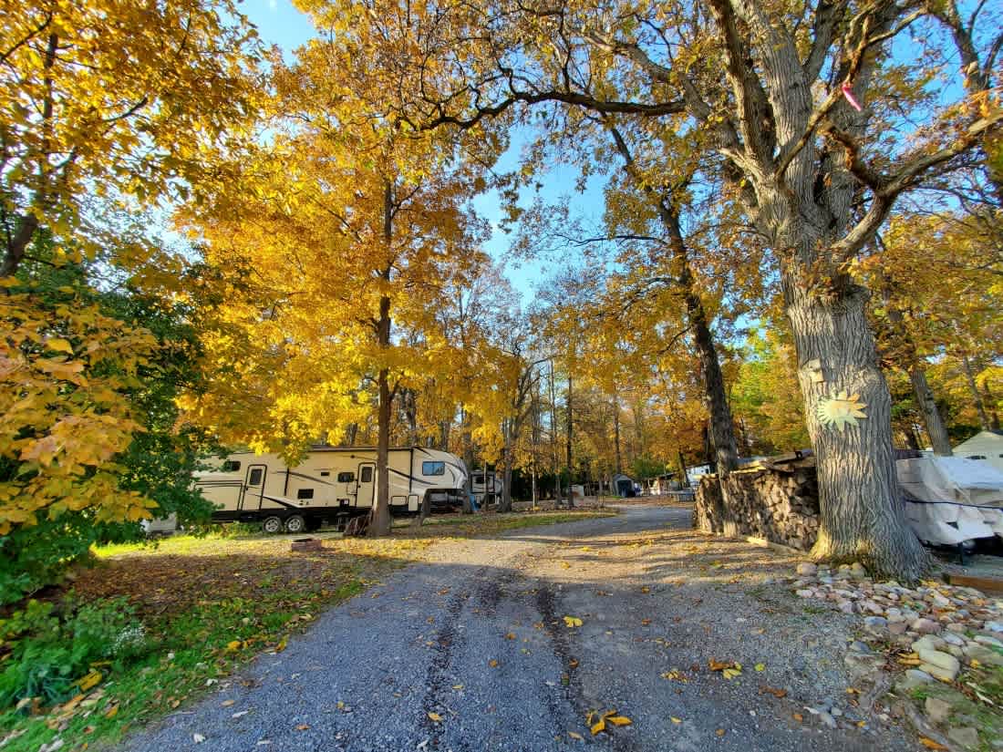 River Forest Park Campground