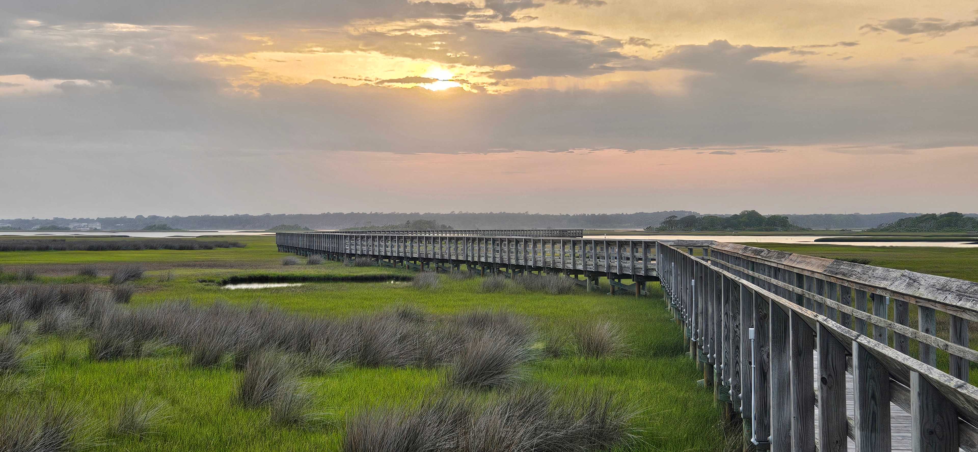 Surf City park