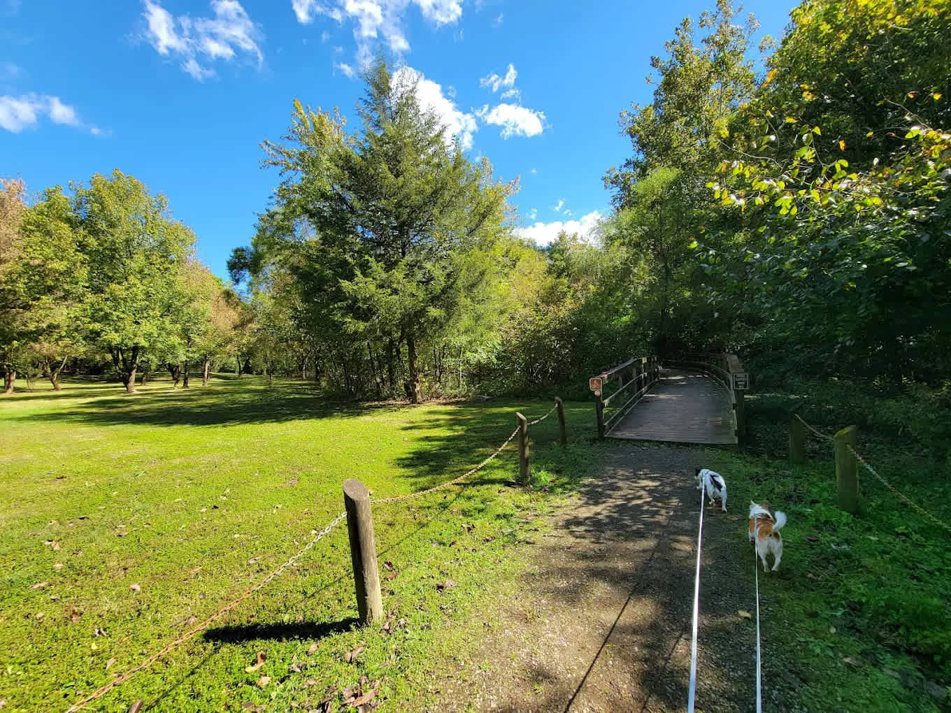 Sugar Hollow Park