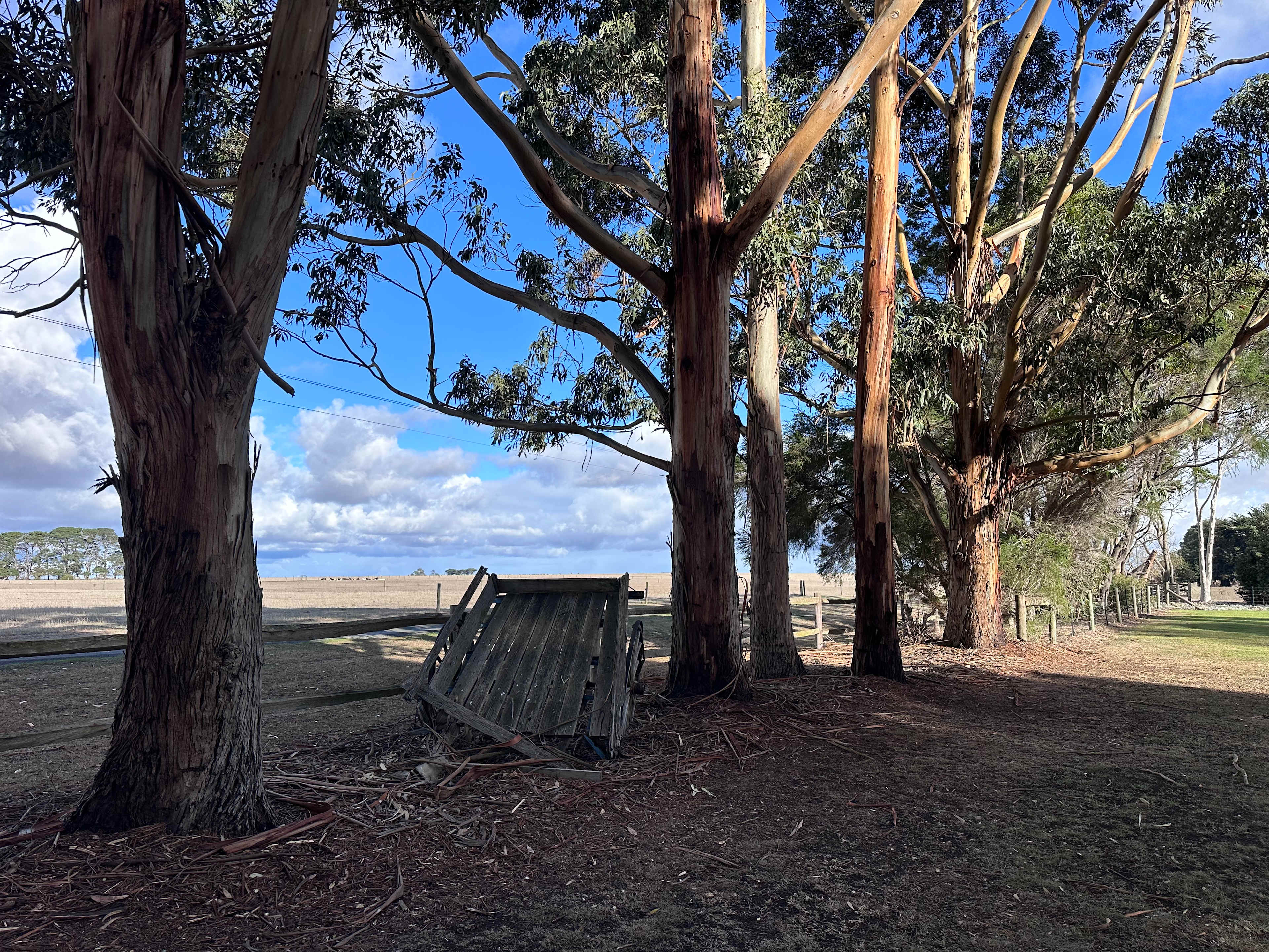 Hampton Park