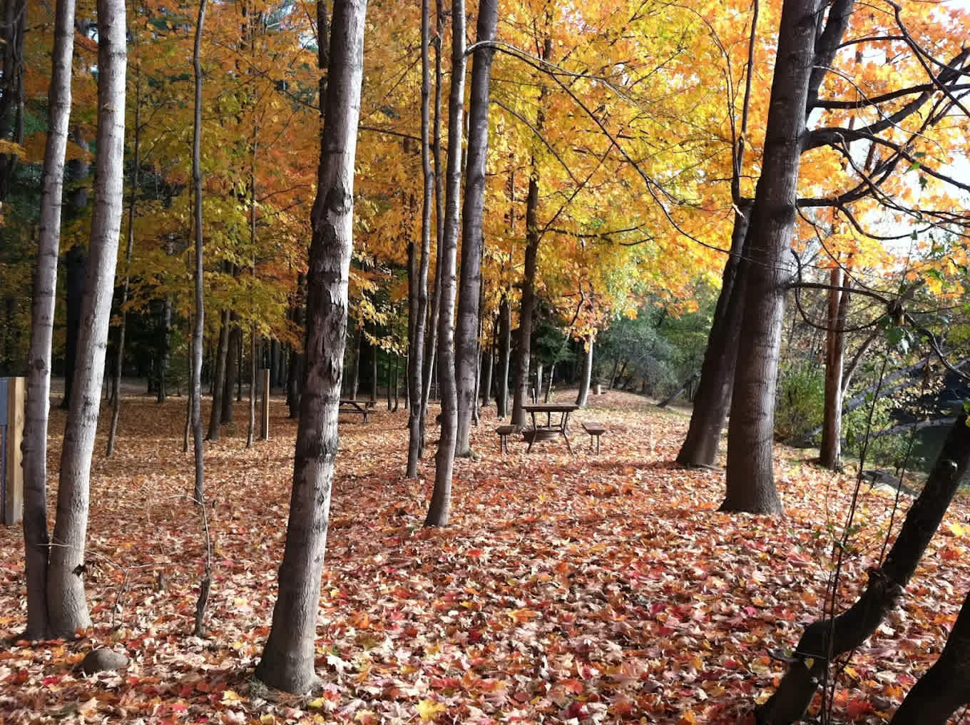 Pemi River Campground