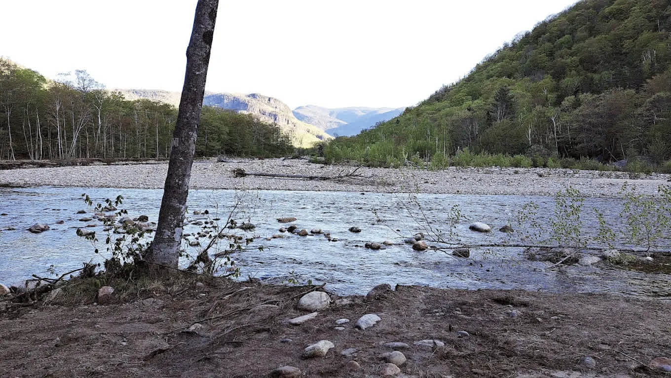 Crawford Notch Campground