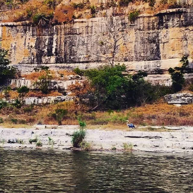 Gypsy River Resort