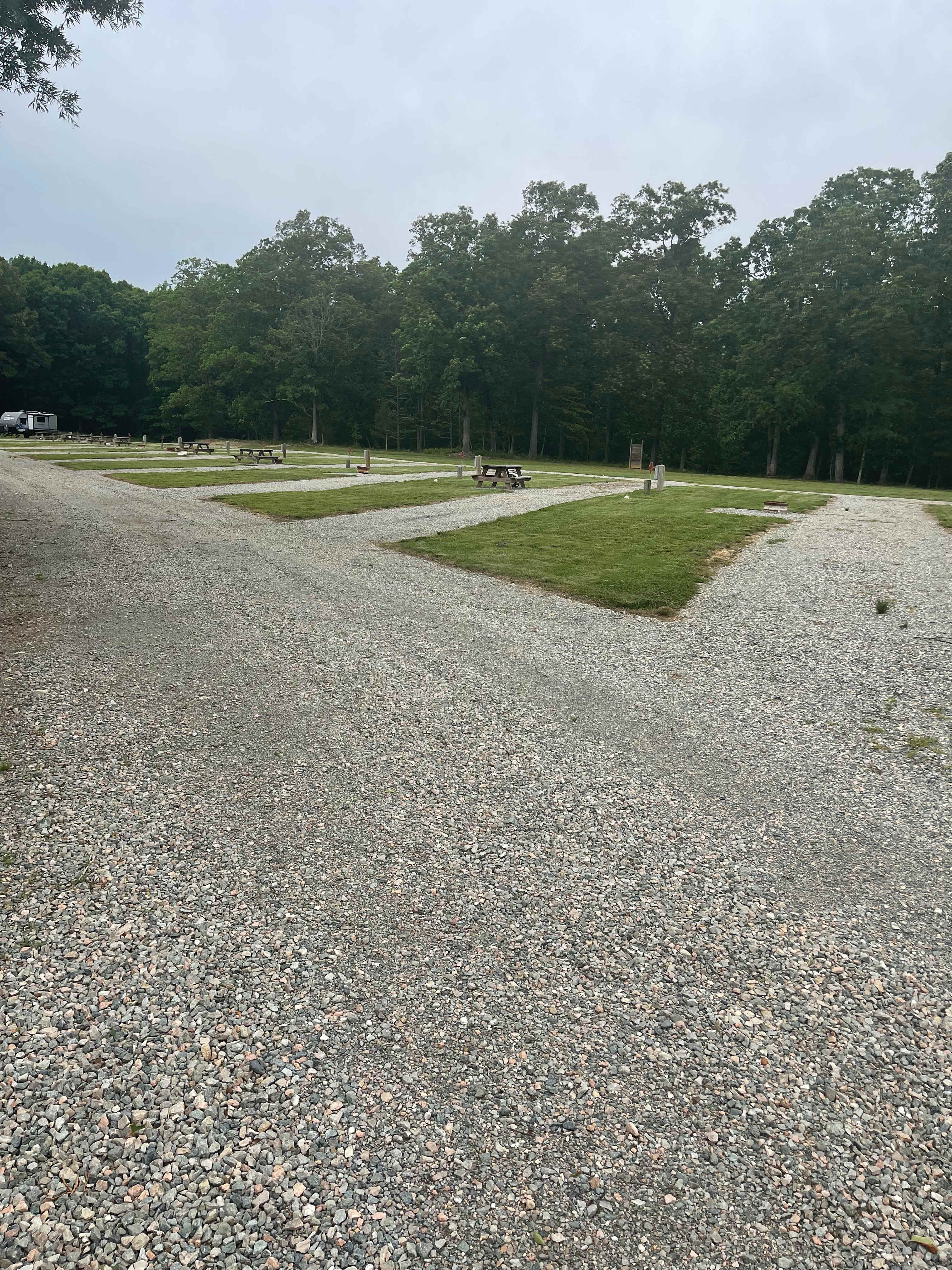 The Wilderness At Belmead