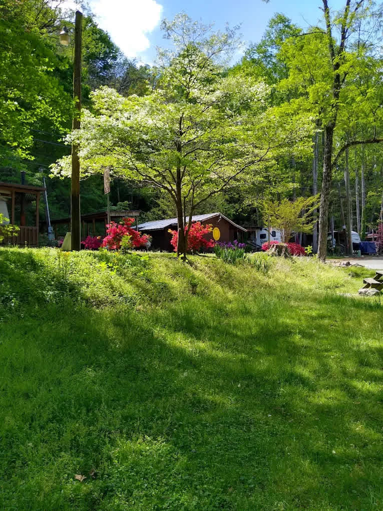 Hickory Nut Falls Family Campground
