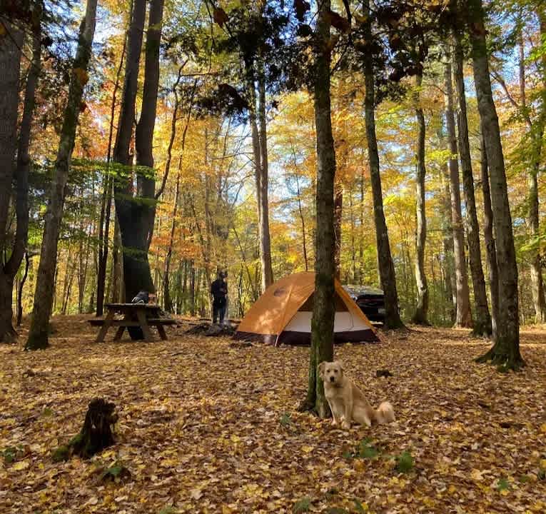 Happy Days Campground