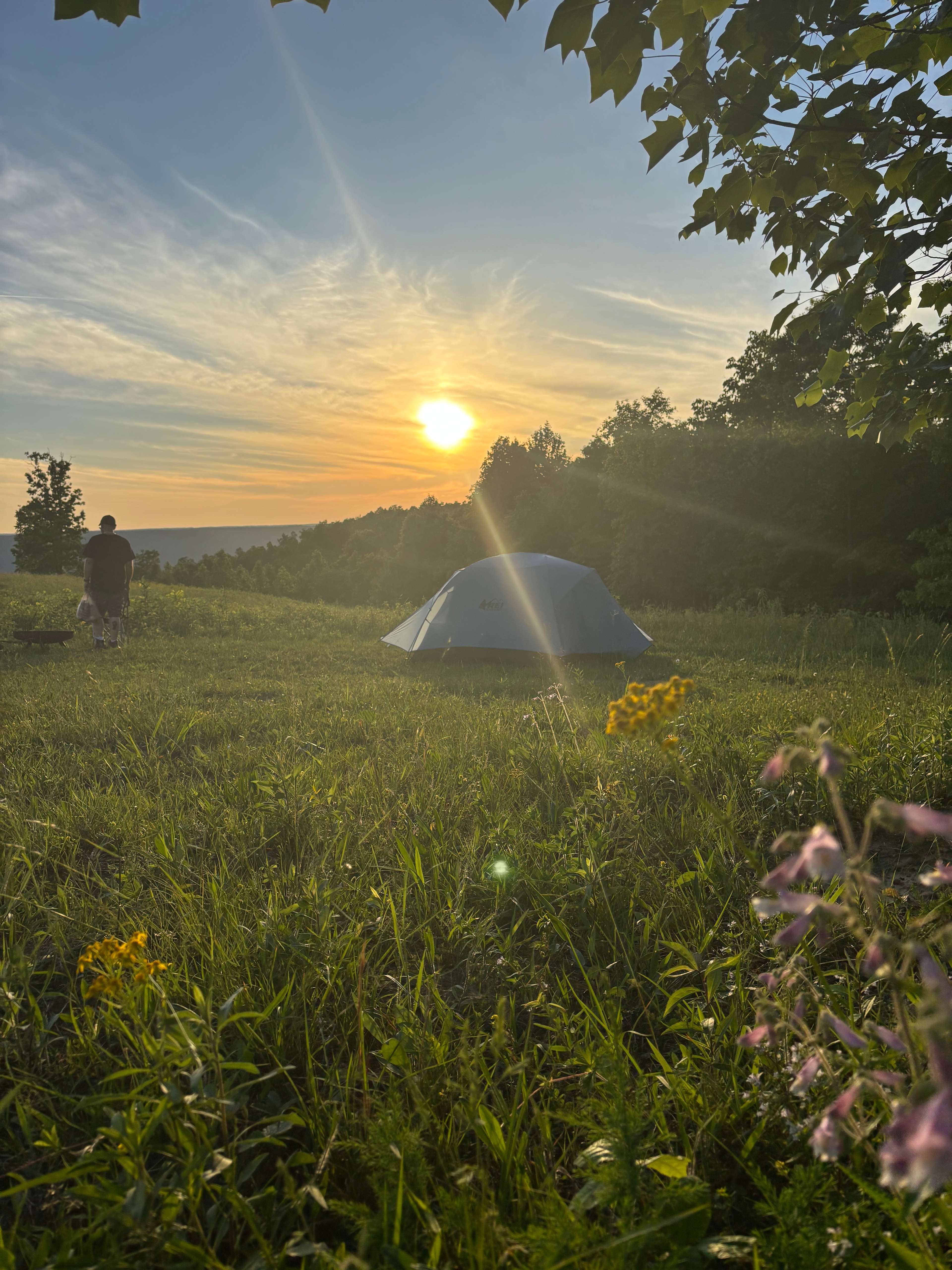 Whippoorwill Woods Nature Retreat