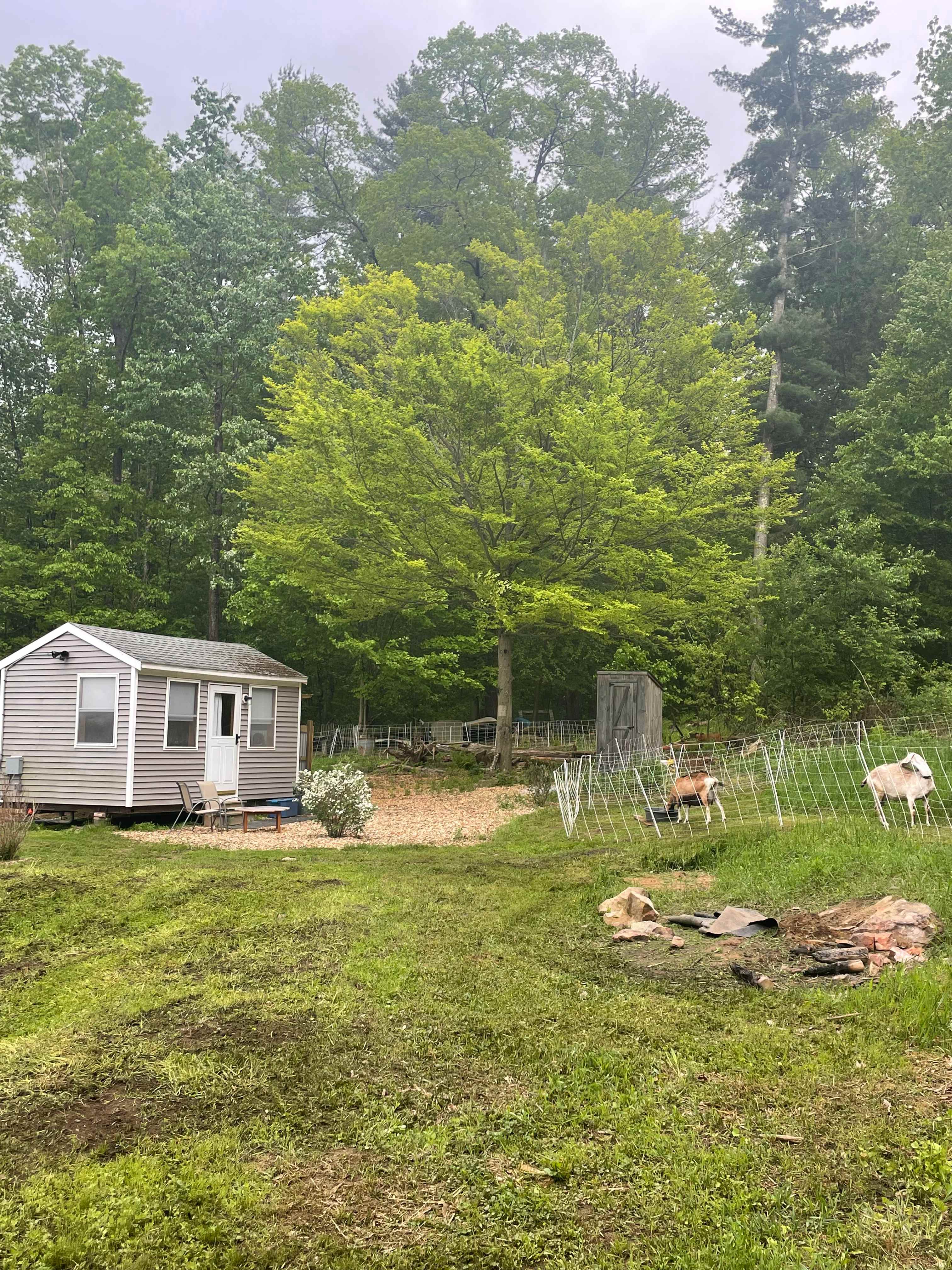 Dandelion Hill Farm Cottage