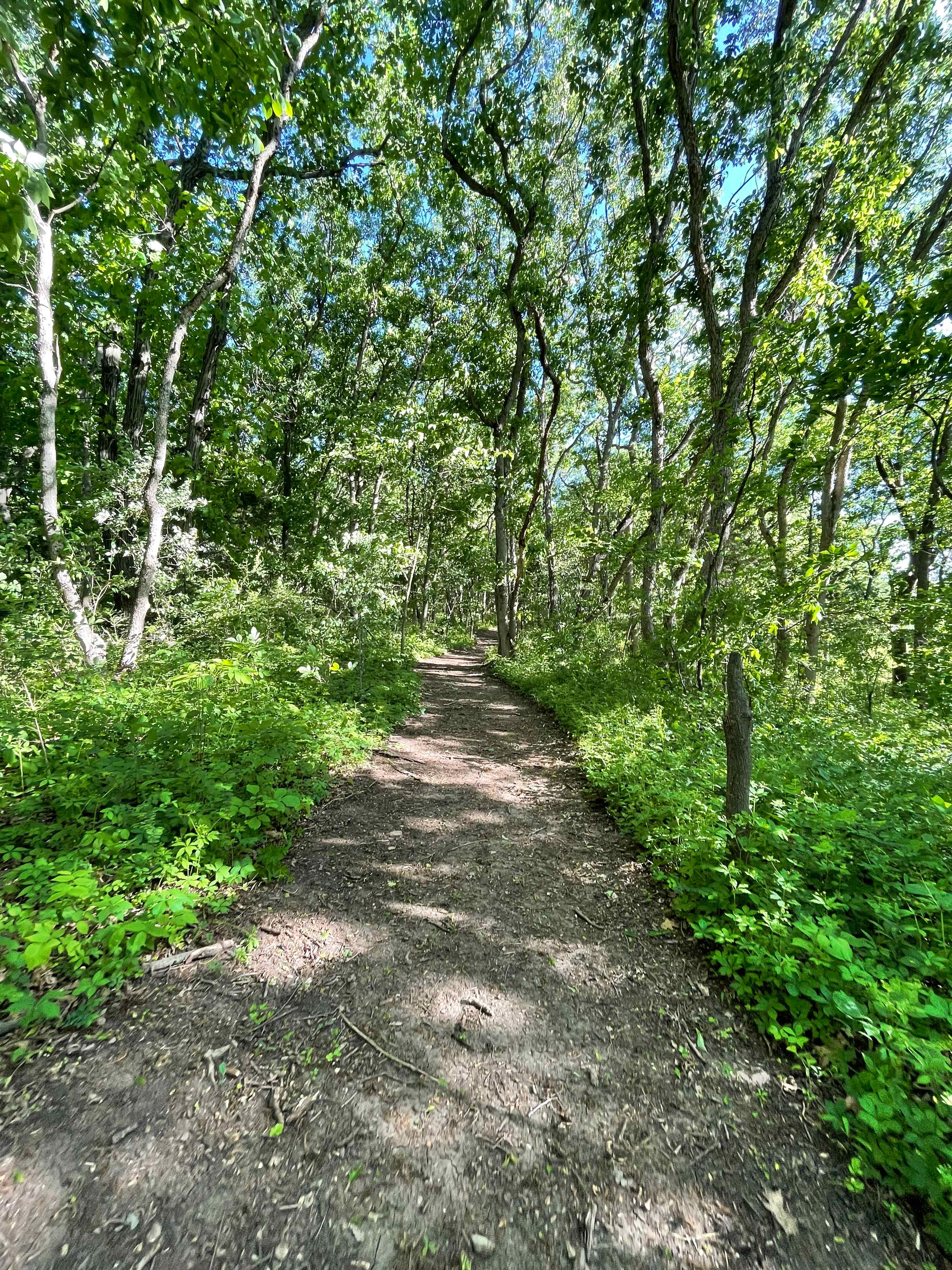 One of the trails