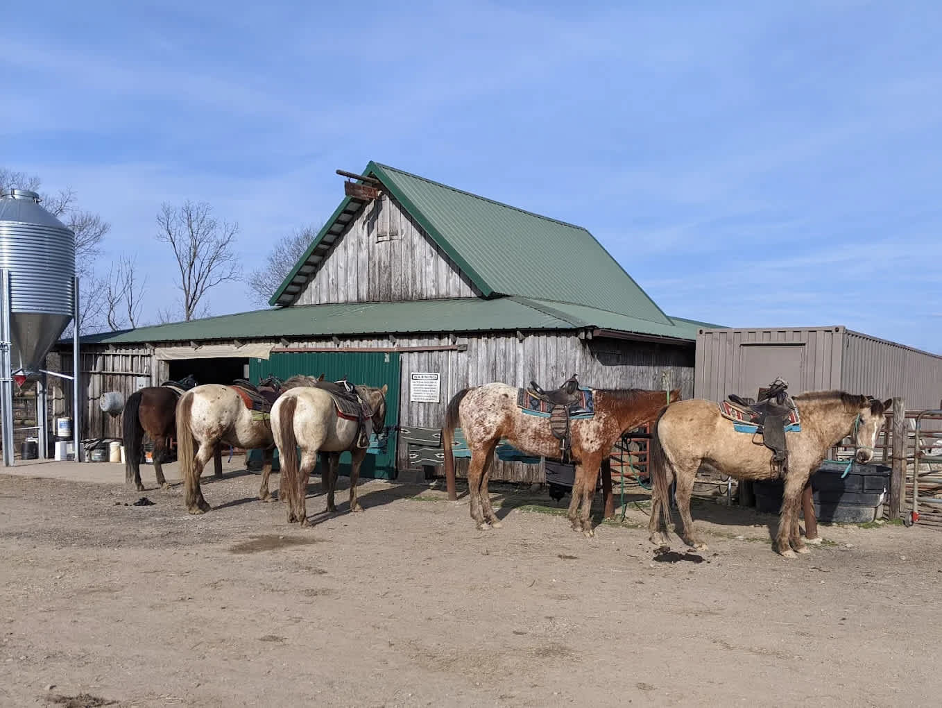 The Spotted Horse Ranch