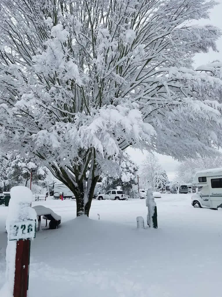 Jantzen Beach RV Park