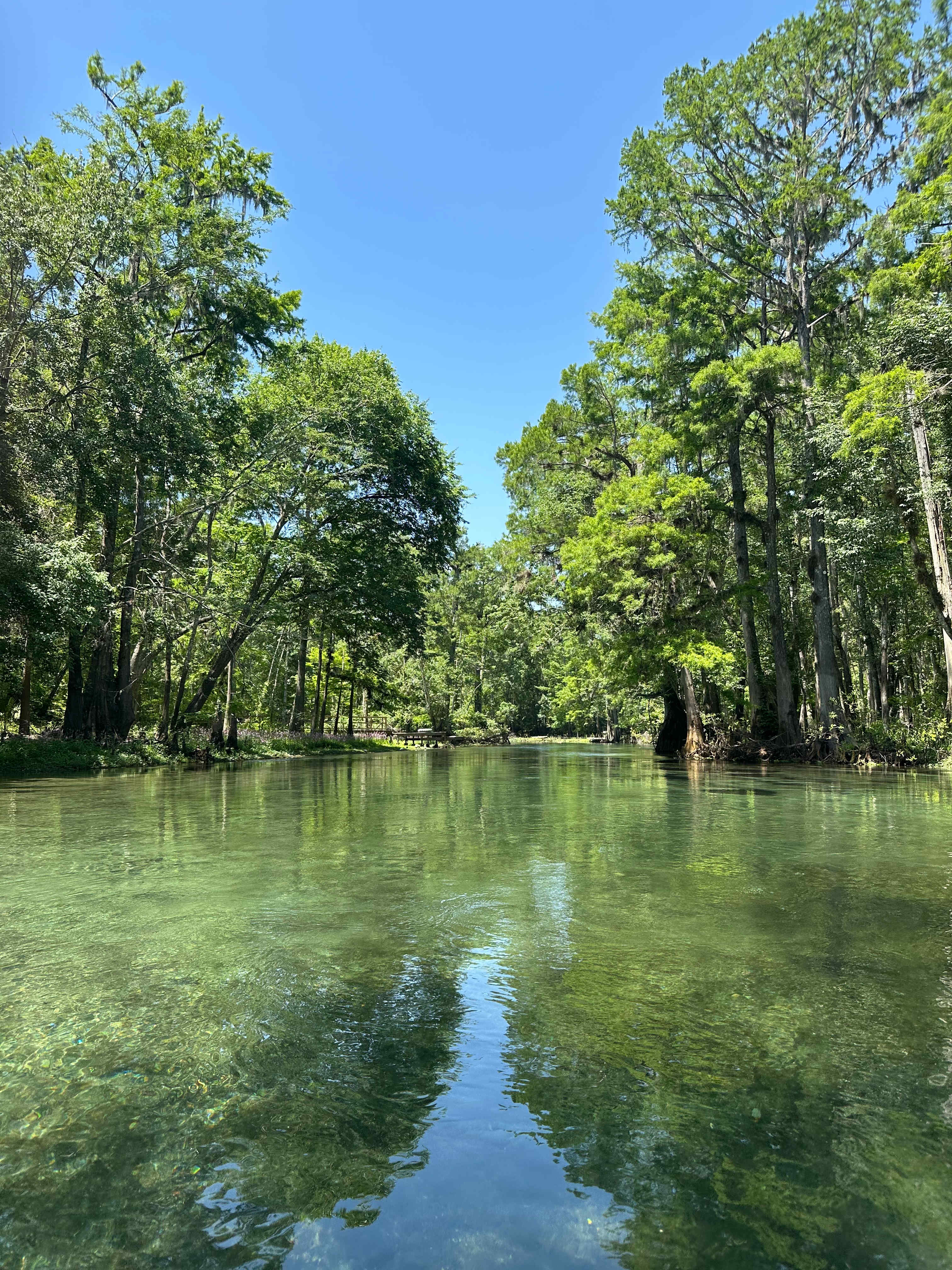 Itchnatucknee River 