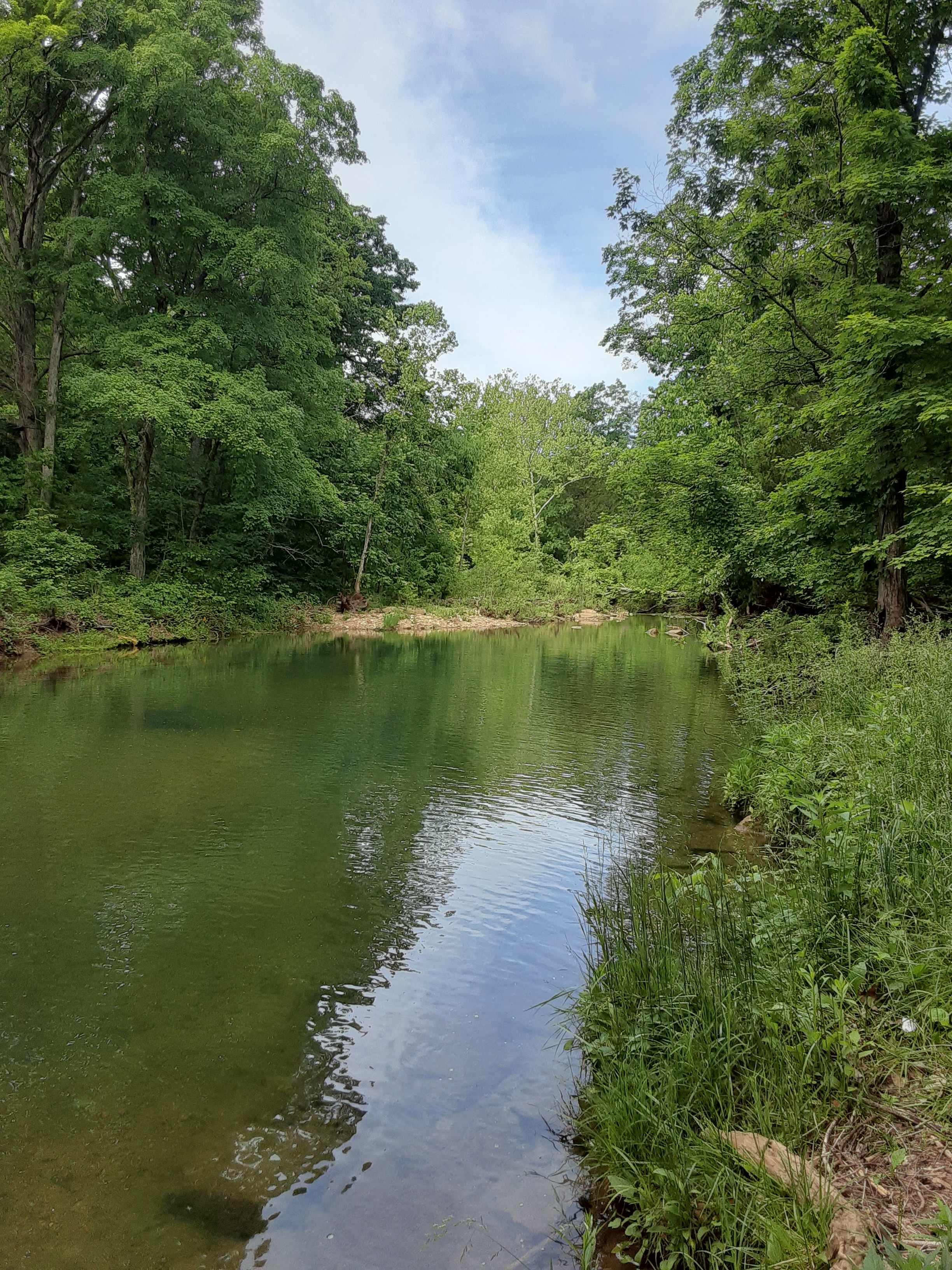 Such and Such Farm Swimming Hole