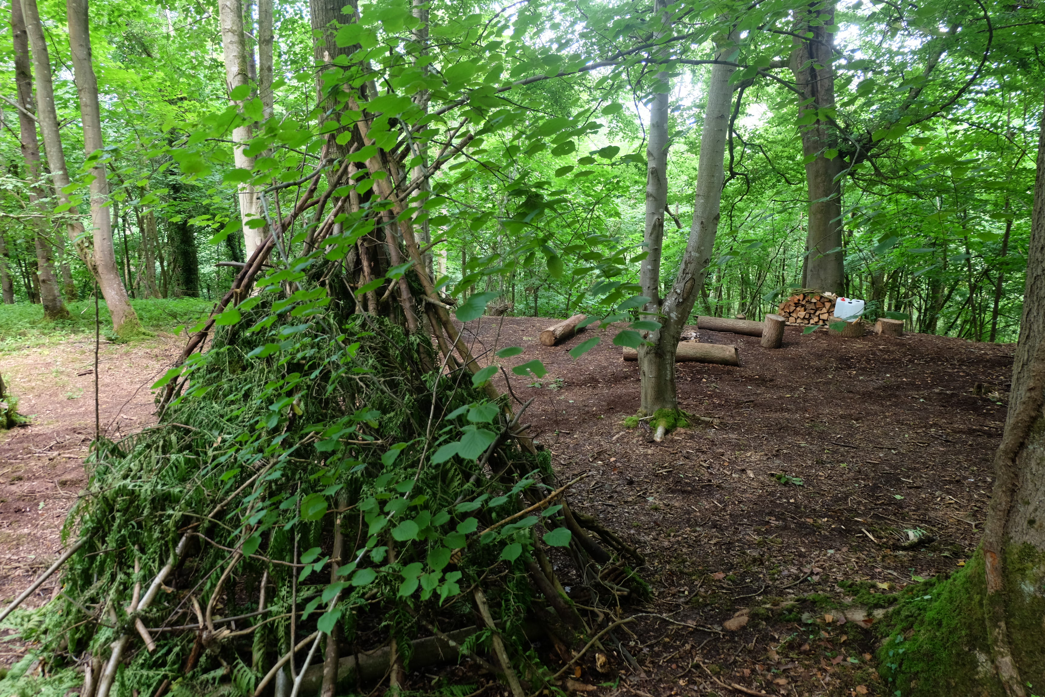 Oak & Ash & Thorn in the Cotswolds