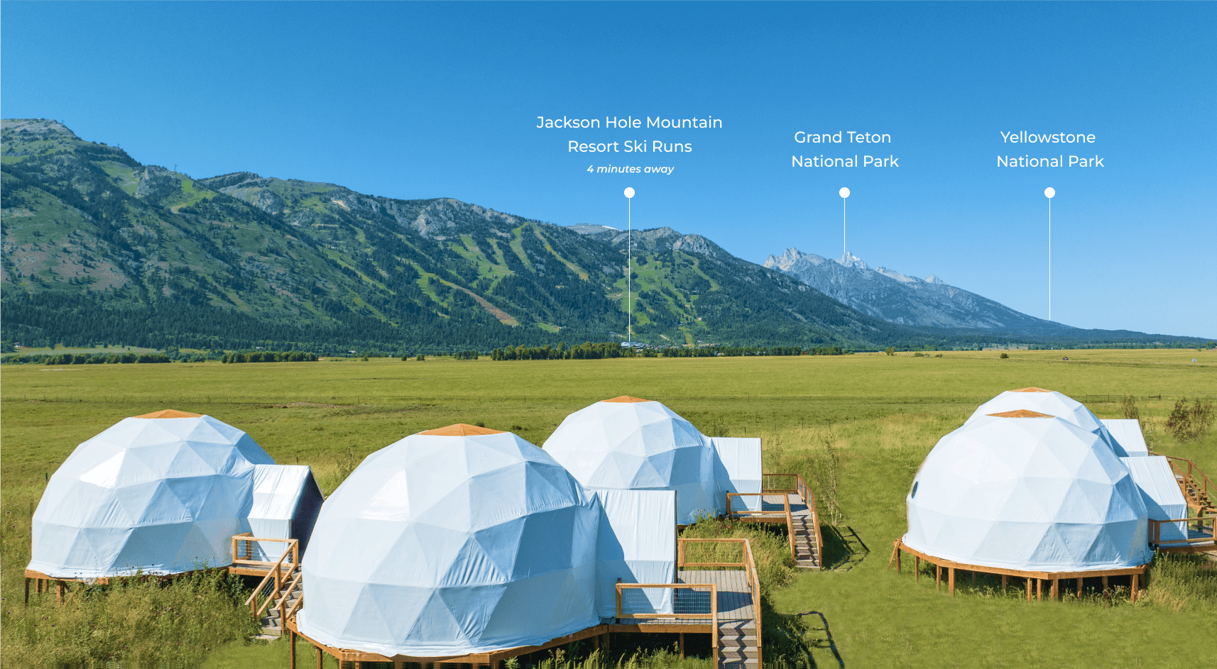 Tammah Jackson Hole