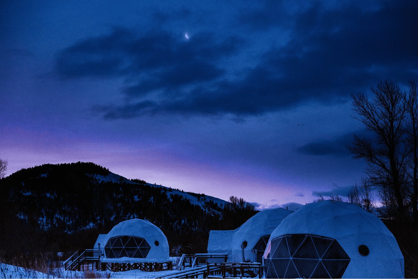Tammah Jackson Hole
