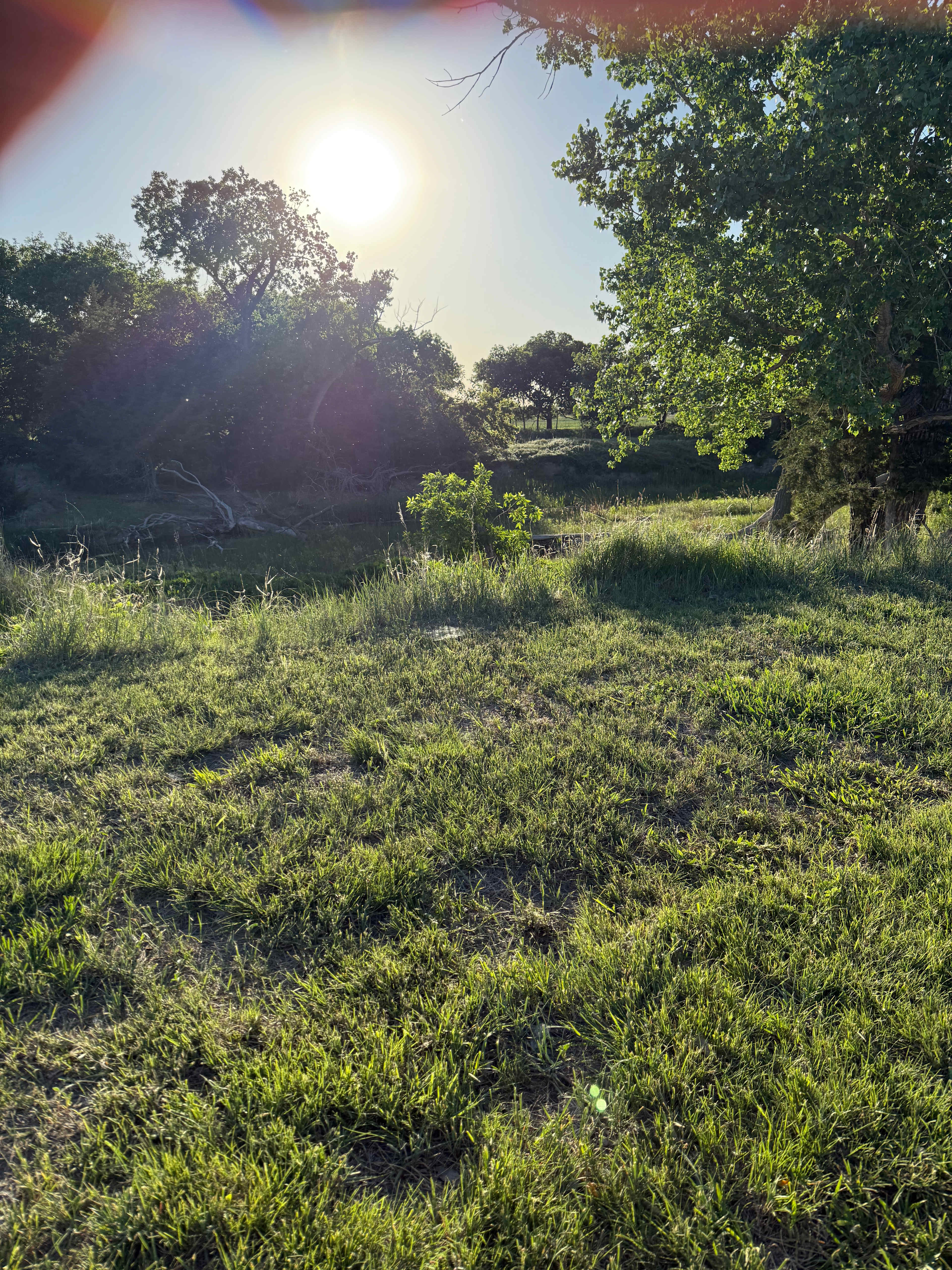 C2T Ranch on the Saline River
