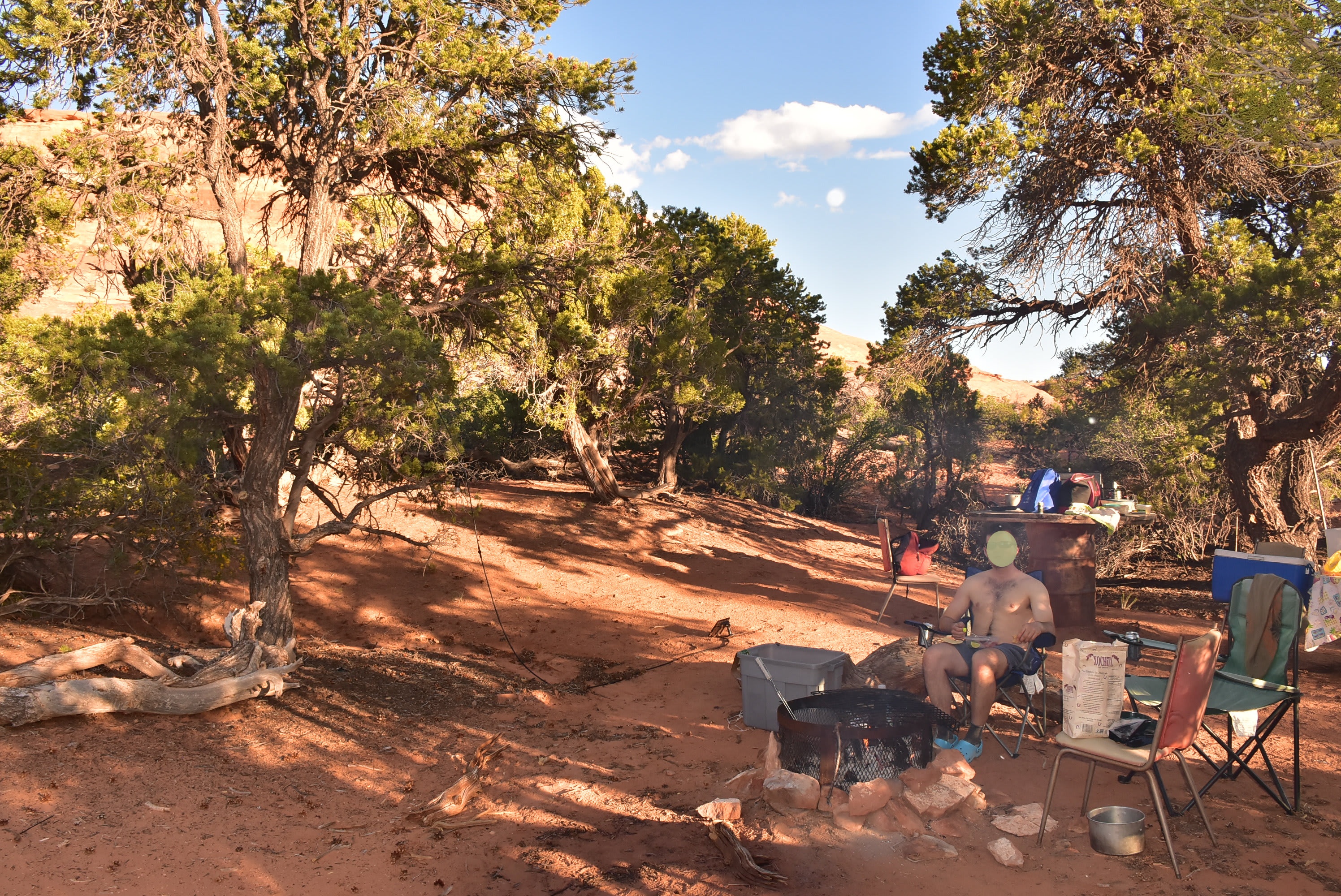 Where The Wild Things Camp