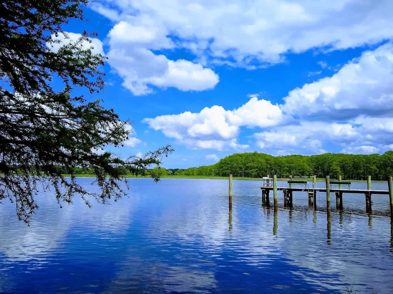 Riverside Camp and Marina