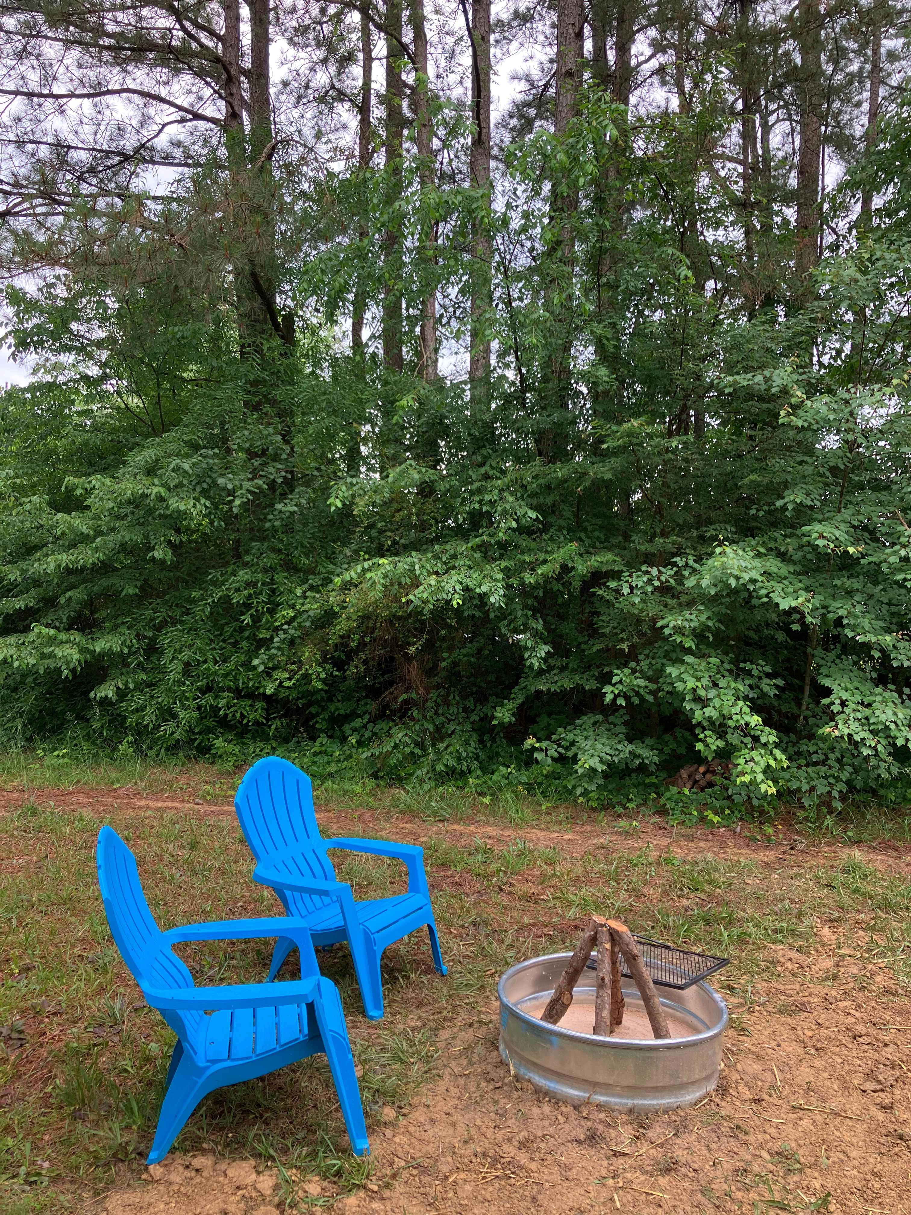 tiny Pinecone Camp
