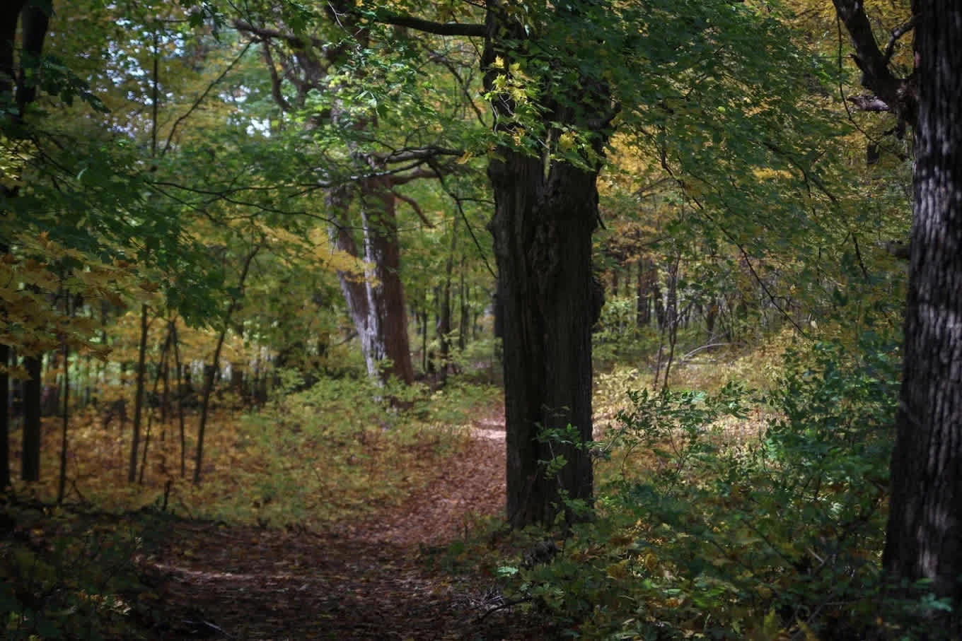 Freedom Valley Campground