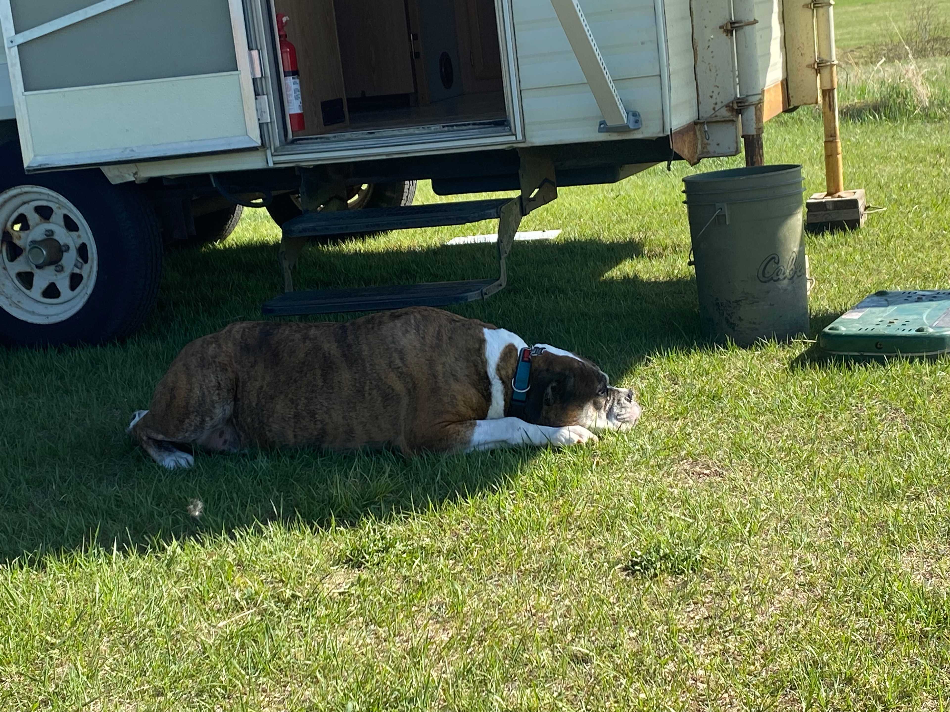 Elk Island Getaway
