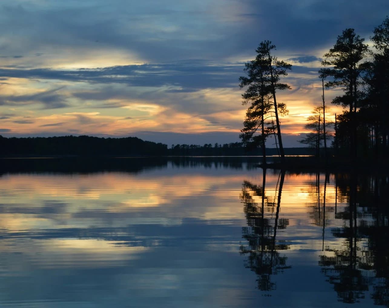 Steele Creek Marina & Campground