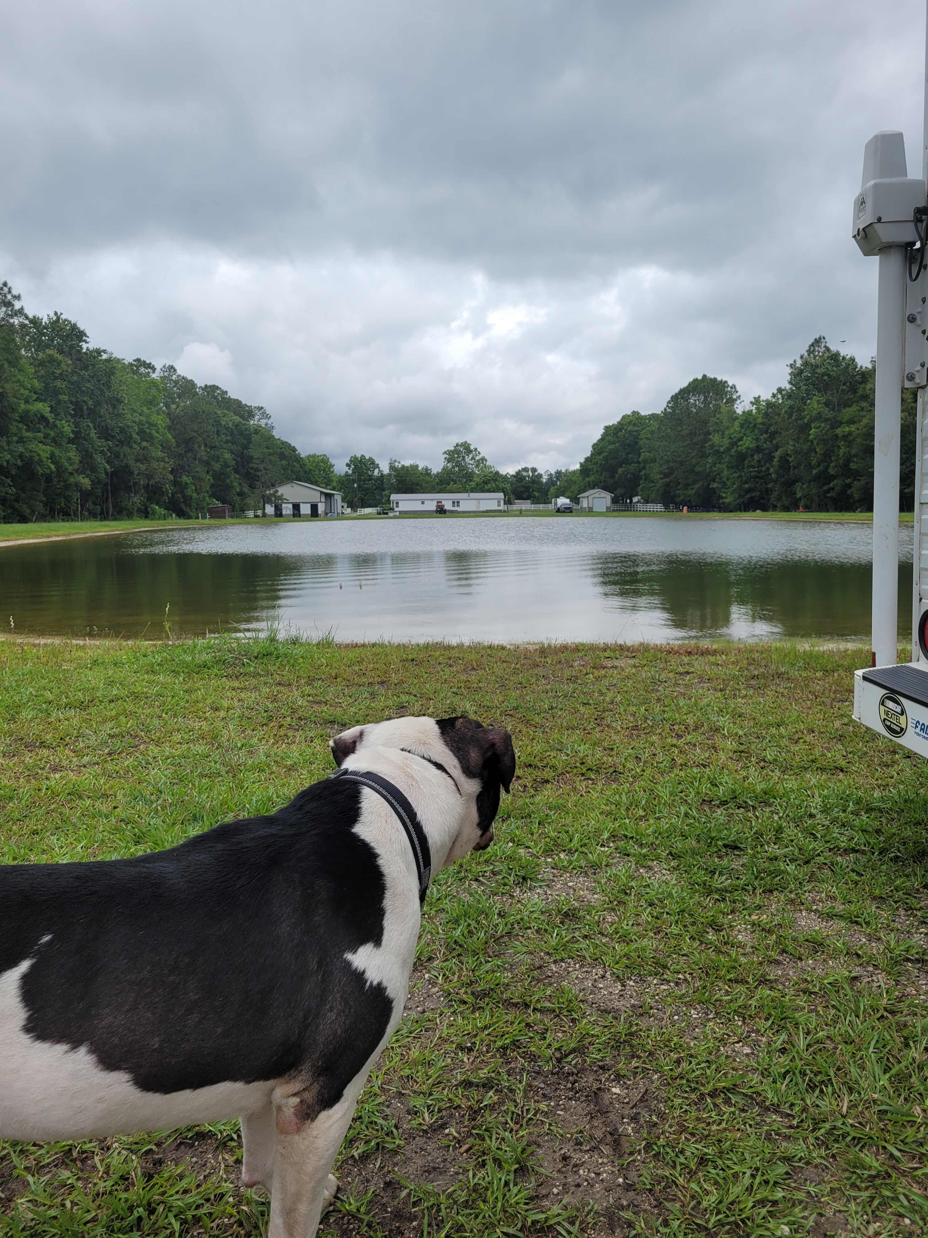 This is looking across the pond from site #2 towards the residence.