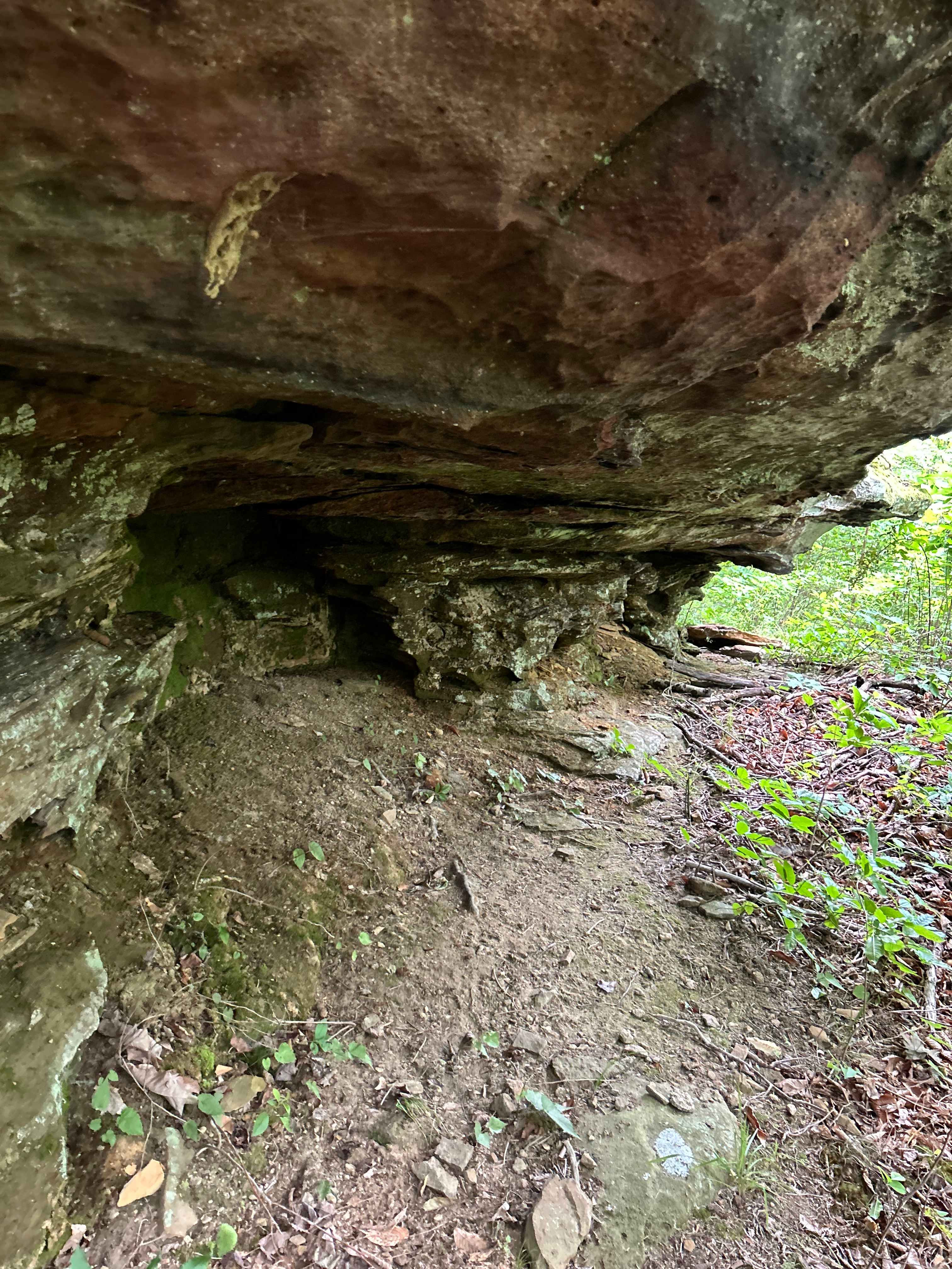 Rockwood